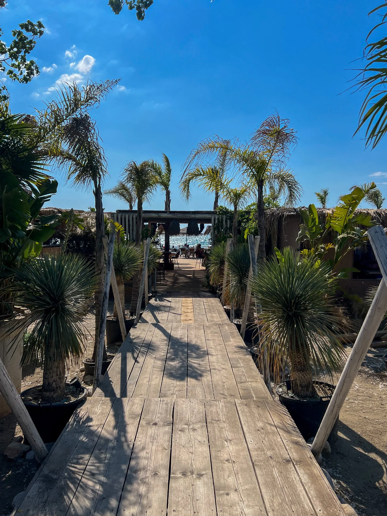 Wooden boardwalk lined with palm trees leading to a beach club, Vlore, Albania
