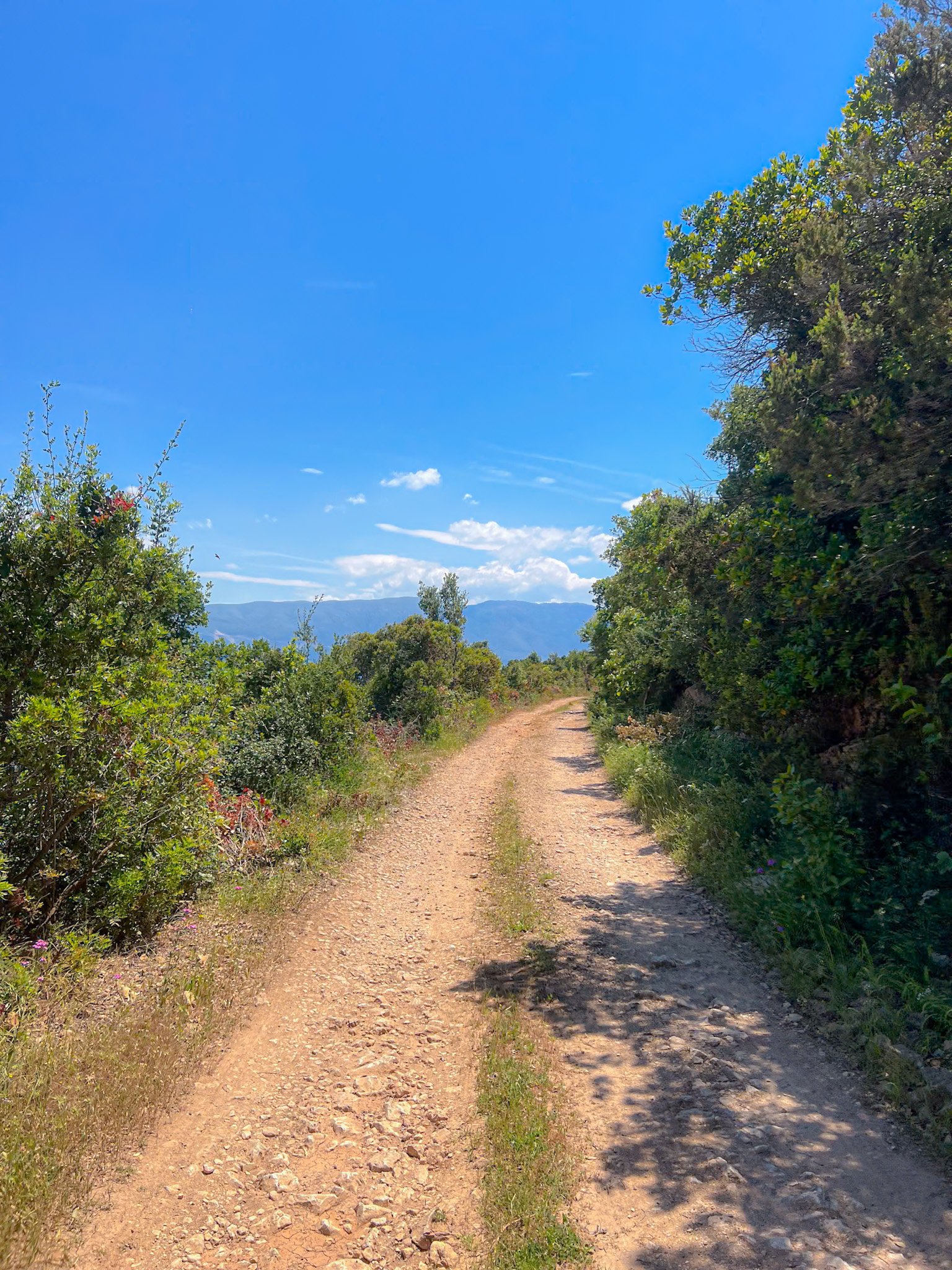 Dirt path winding through green shrubs under a blue sky near Vlore, Albania