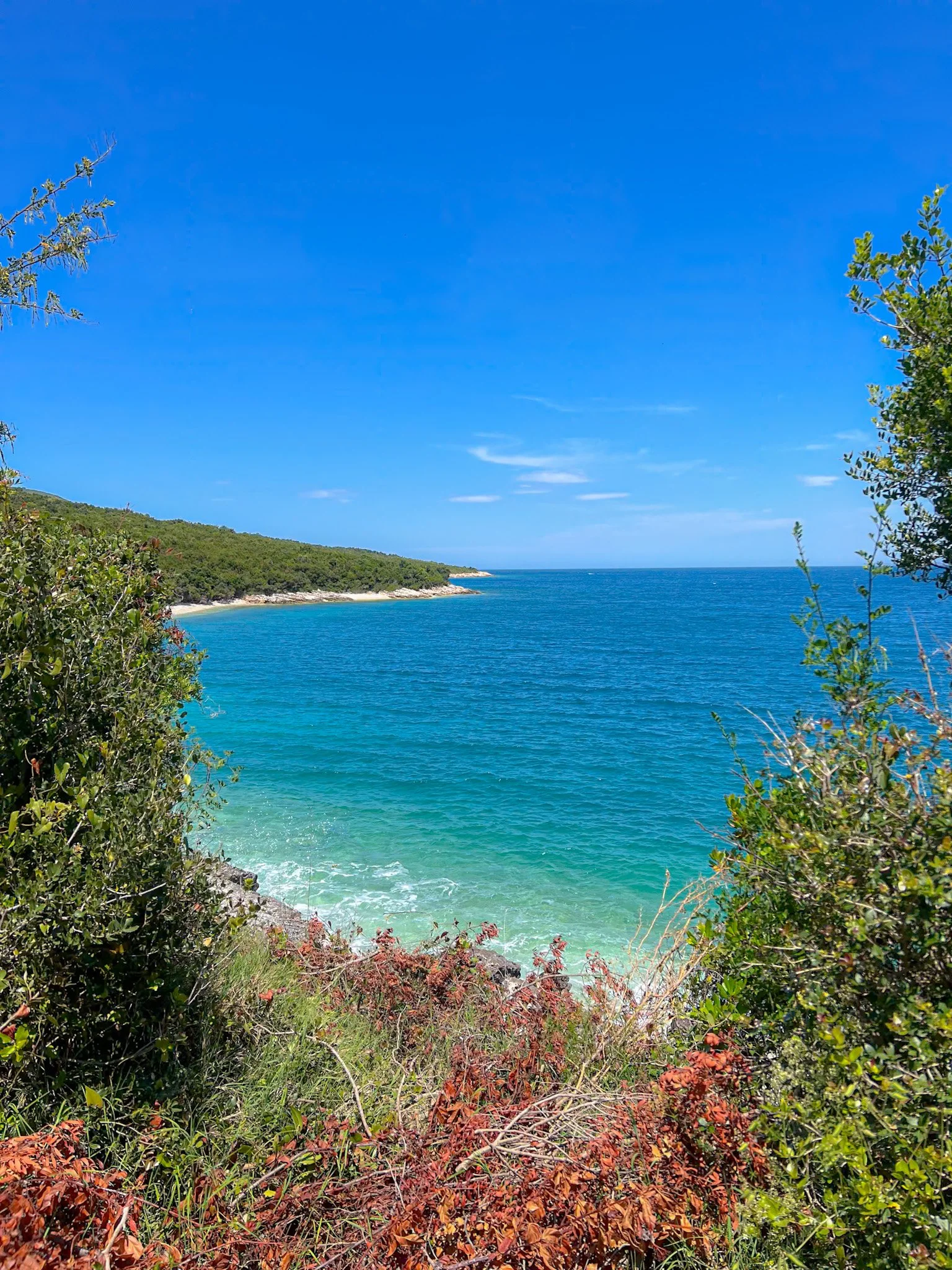 Turquoise cove seen through green trees along the coast near Vlore, Albania