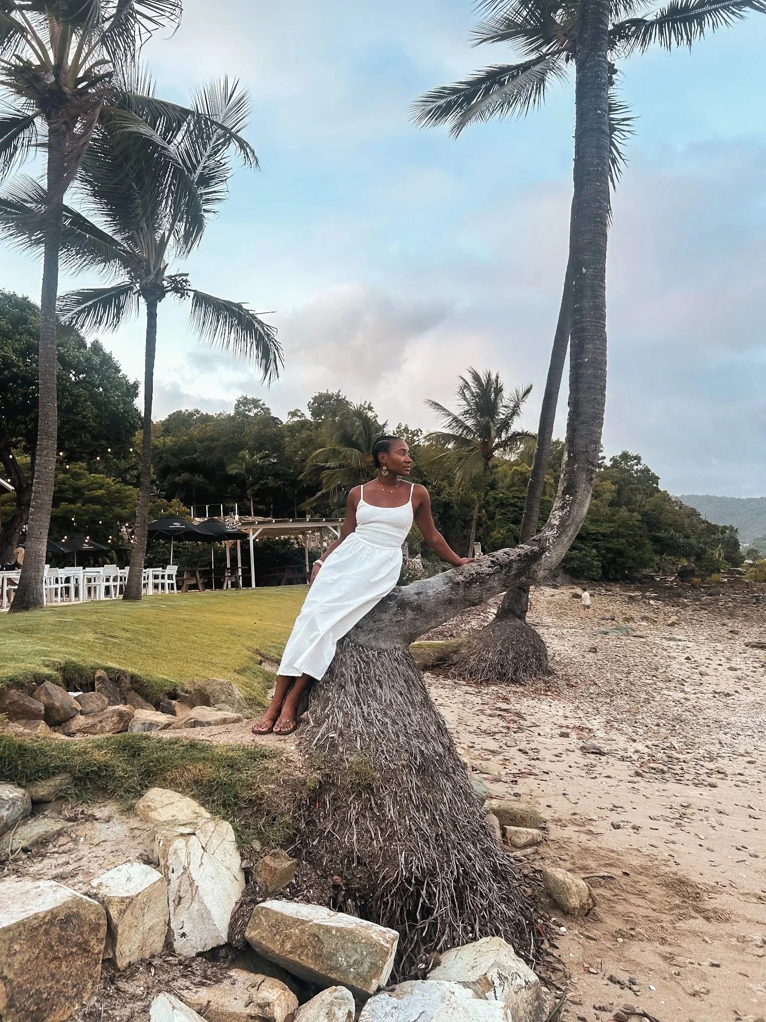 A woman in a white dress sitting on a bent palm tree by the beach with sand, rocks, and more palm trees in the background.