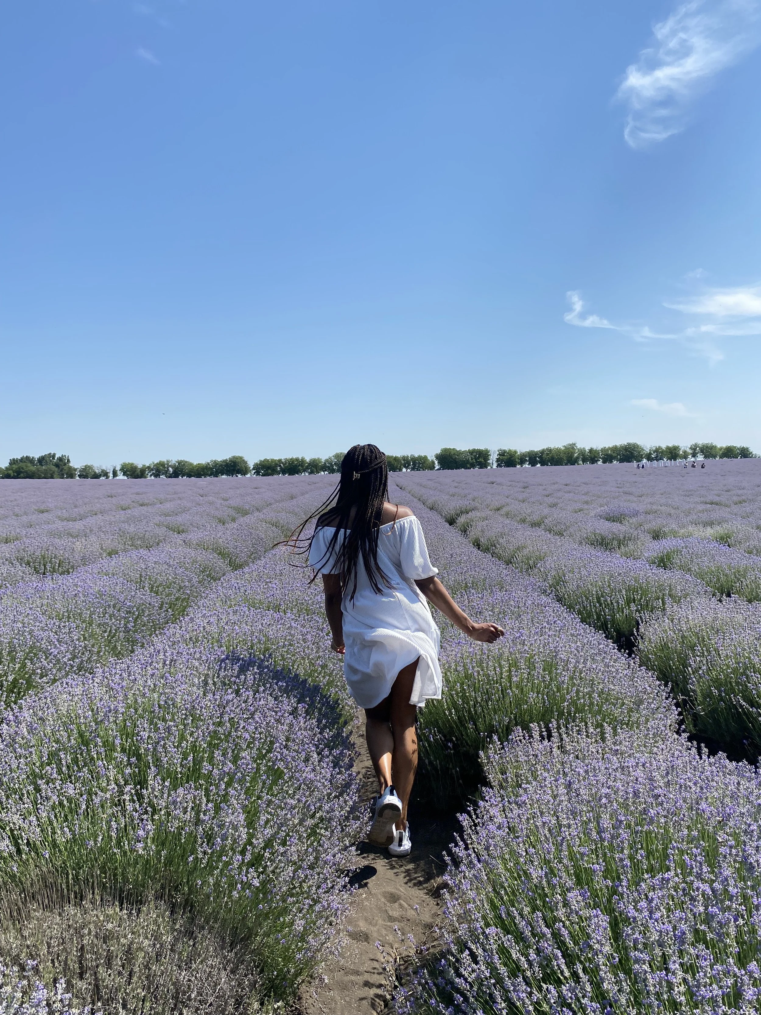 Black woman in a white dress walking through a lavender field on a sunny day in Moldova.
