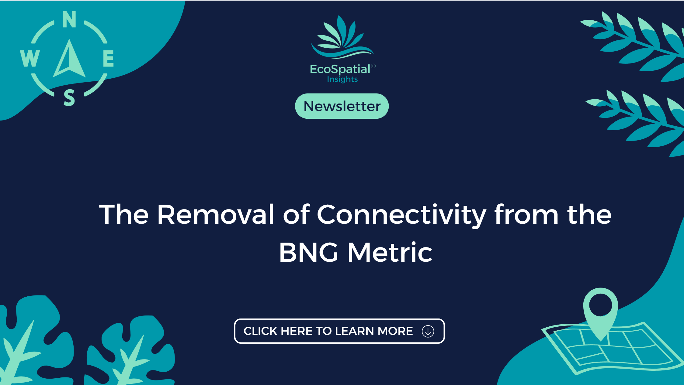 The Removal of Connectivity from the BNG Metric