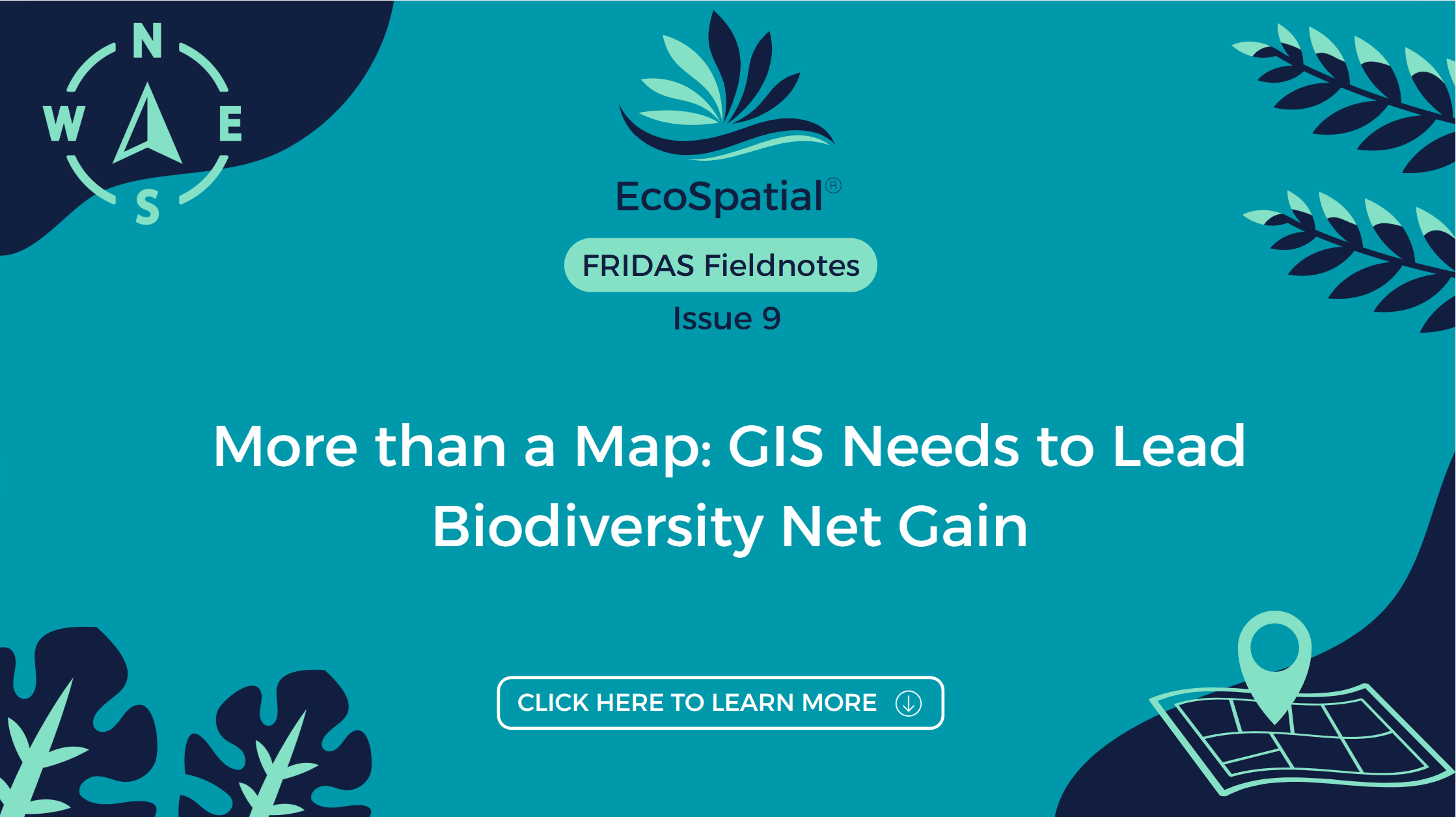 More than a Map: GIS Needs to Lead BNG