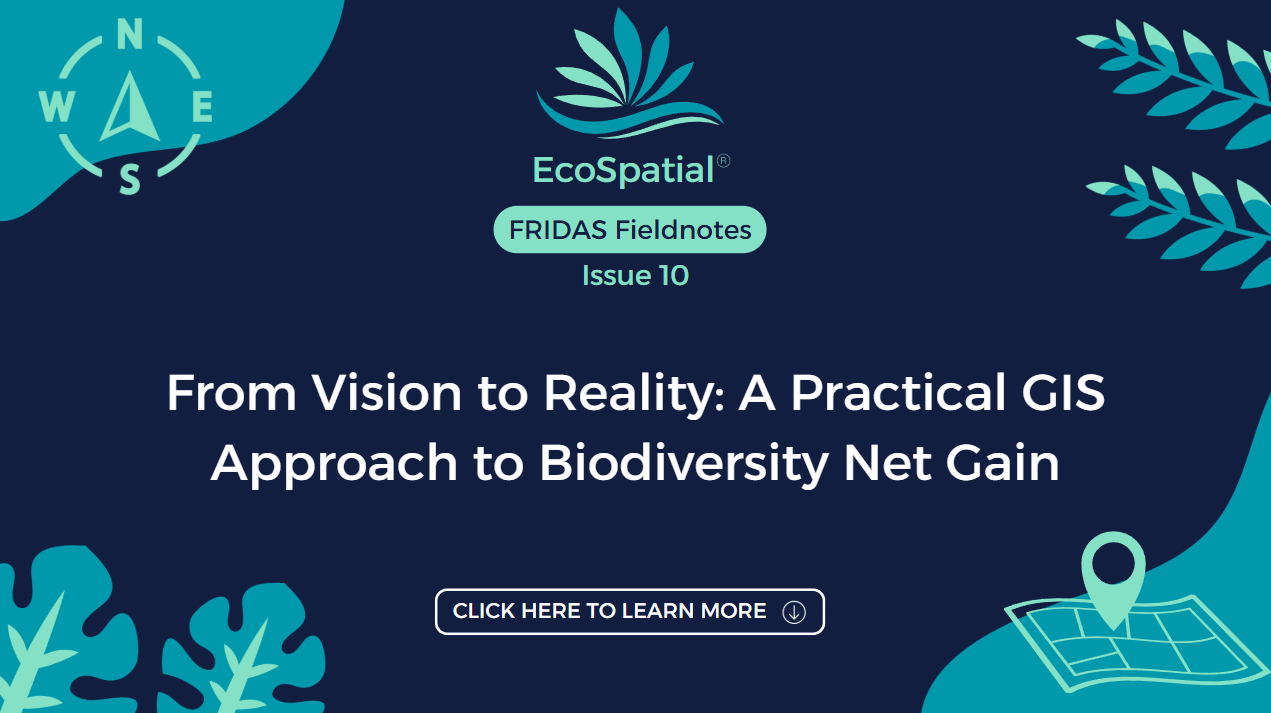 From Vision to Reality: A Practical GIS Approach to Biodiversity Net Gain