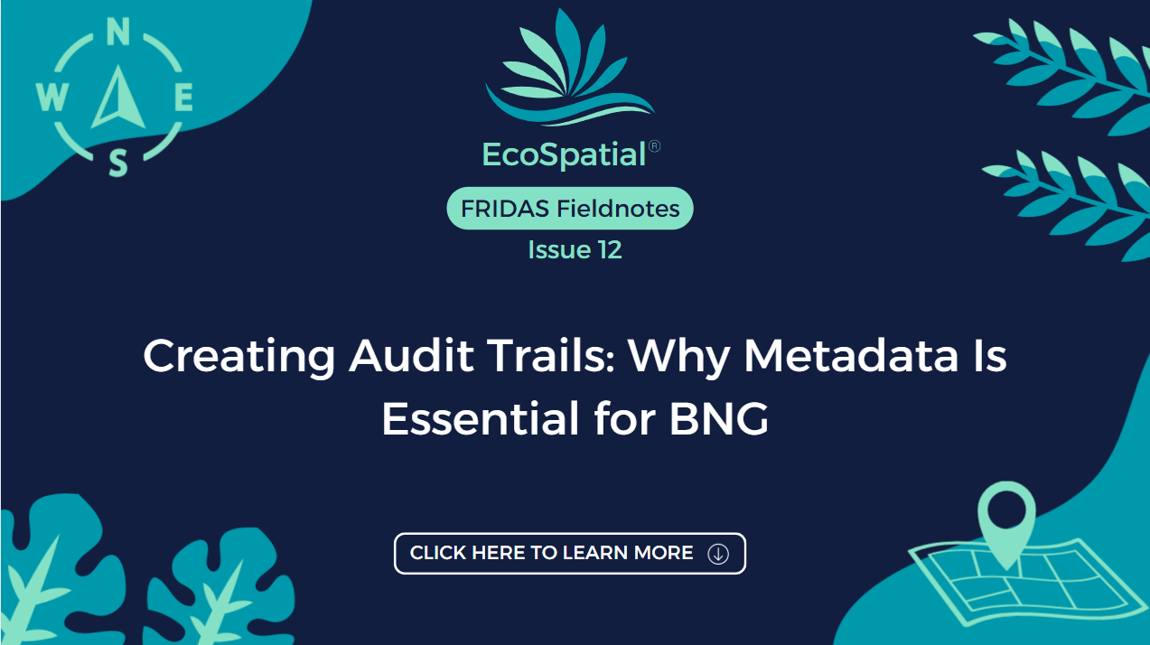 Creating Audit Trails: Why Metadata Is Essential for BNG