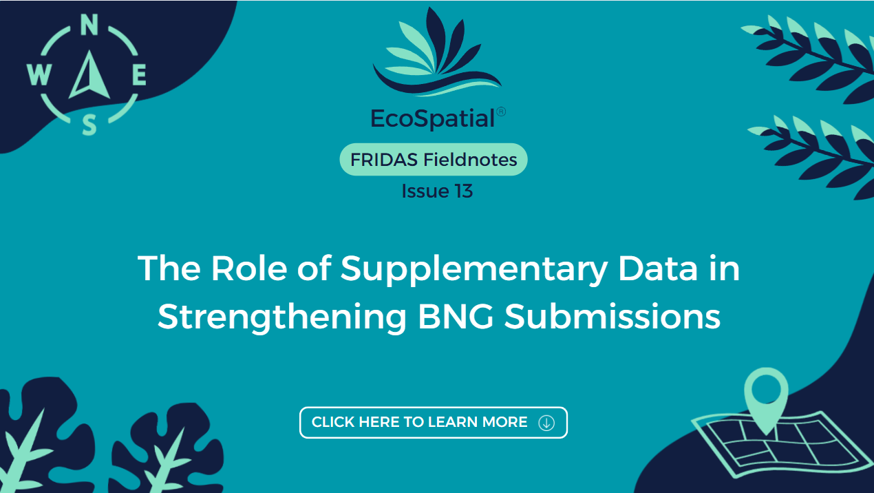 The Role of Supplementary Data in Strengthening BNG Submissions