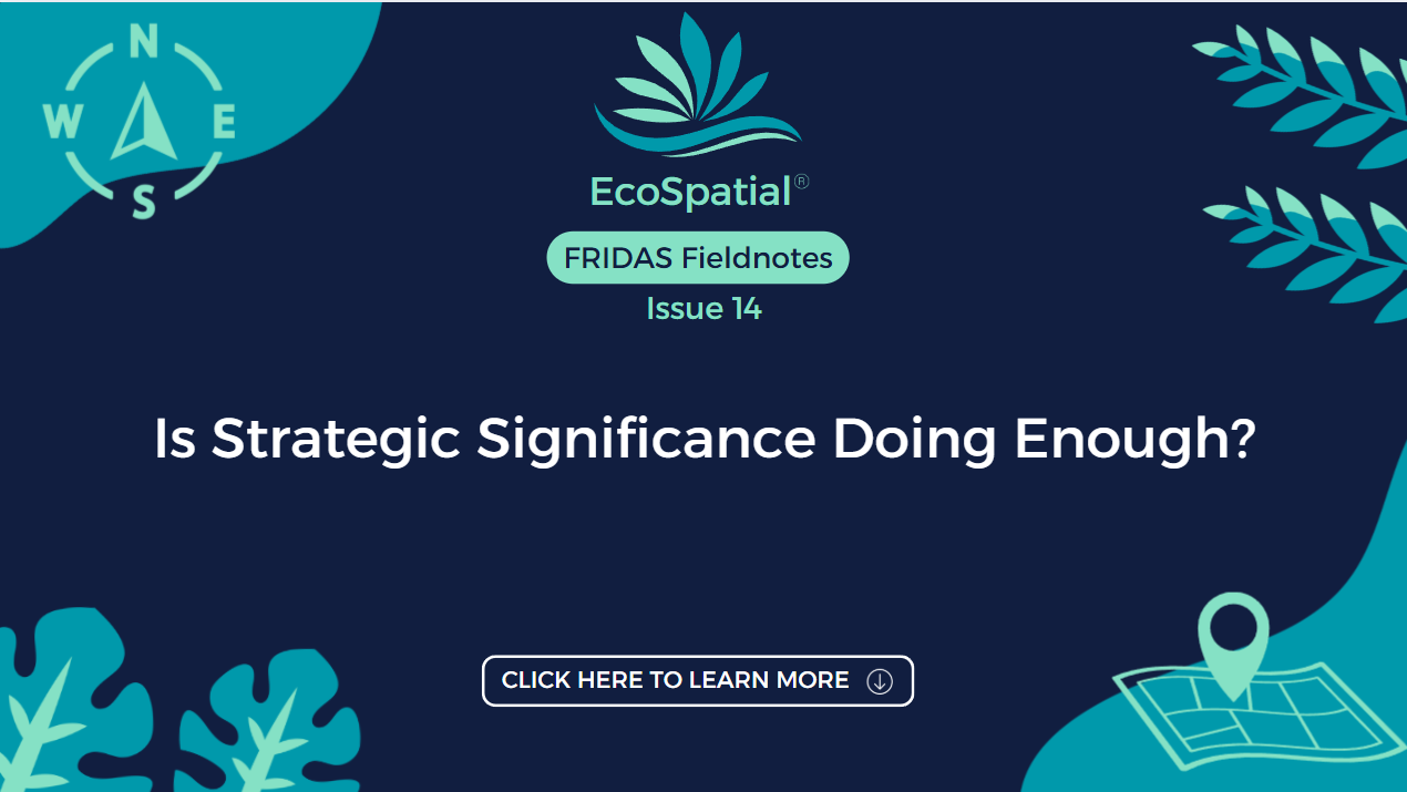 Is Strategic Significance Doing Enough?