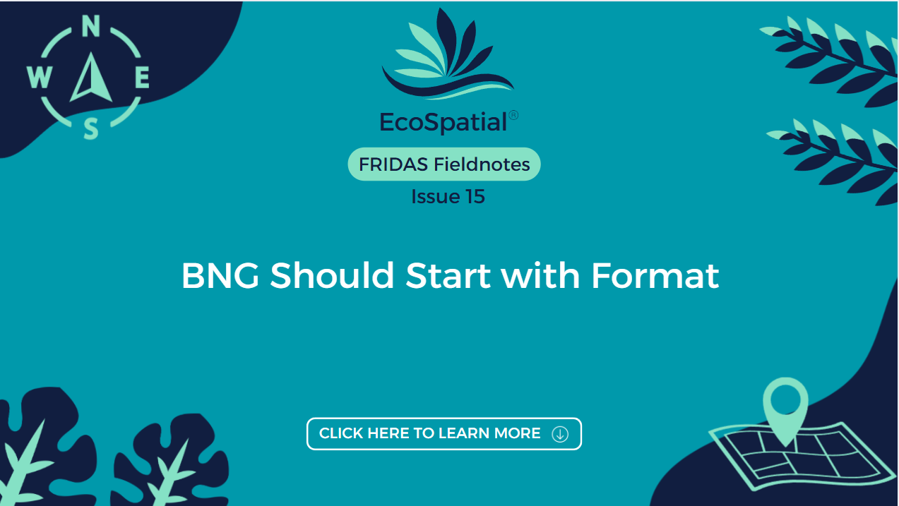 BNG Should Start with Format