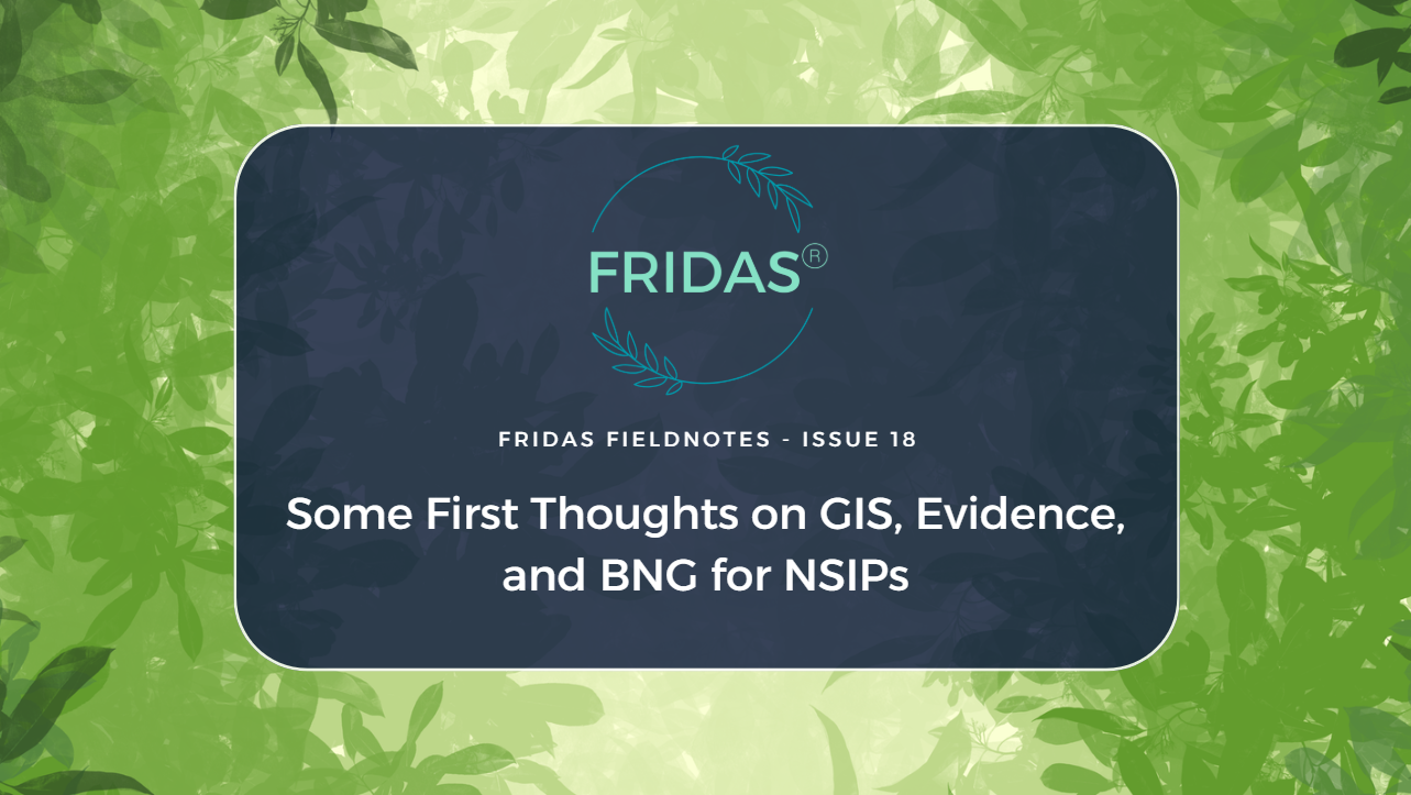 Some First Thoughts on GIS, Evidence, and BNG for NSIPs