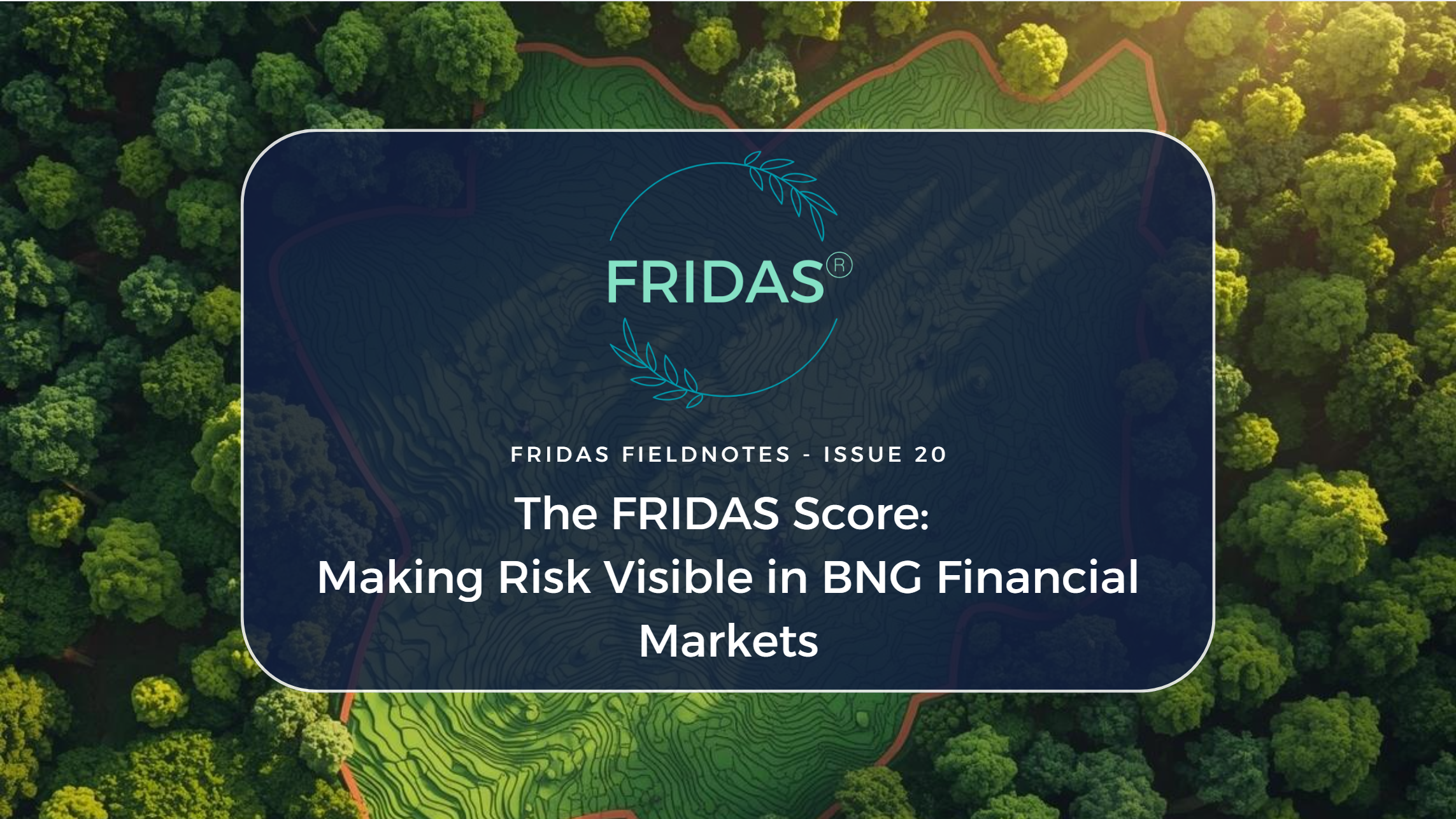 The FRIDAS Score: Making Risk Visible in BNG Financial Markets