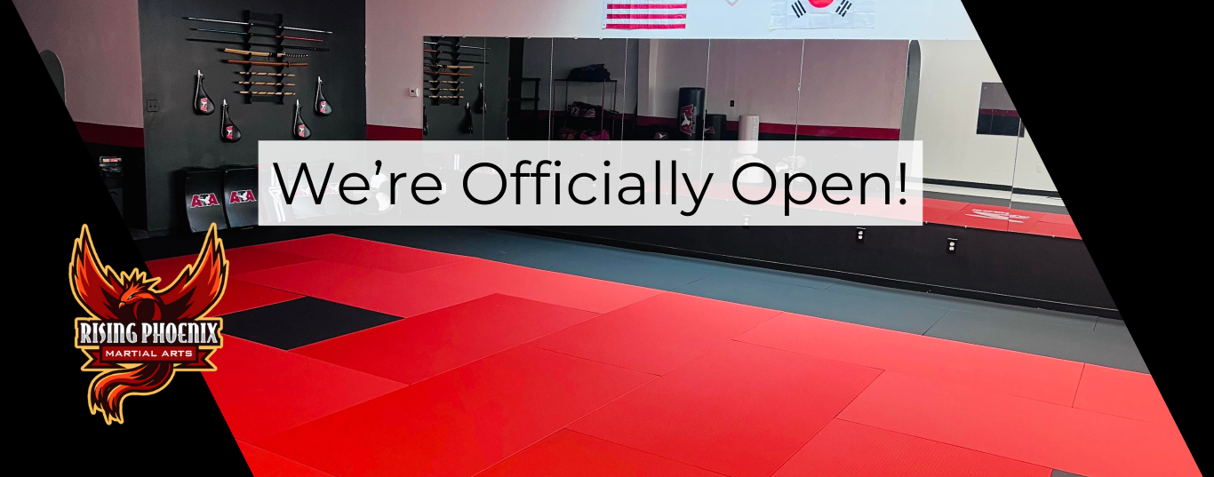 Rising Phoenix Martial Arts Opens Its Doors in Ocala, Florida! — Rising ...
