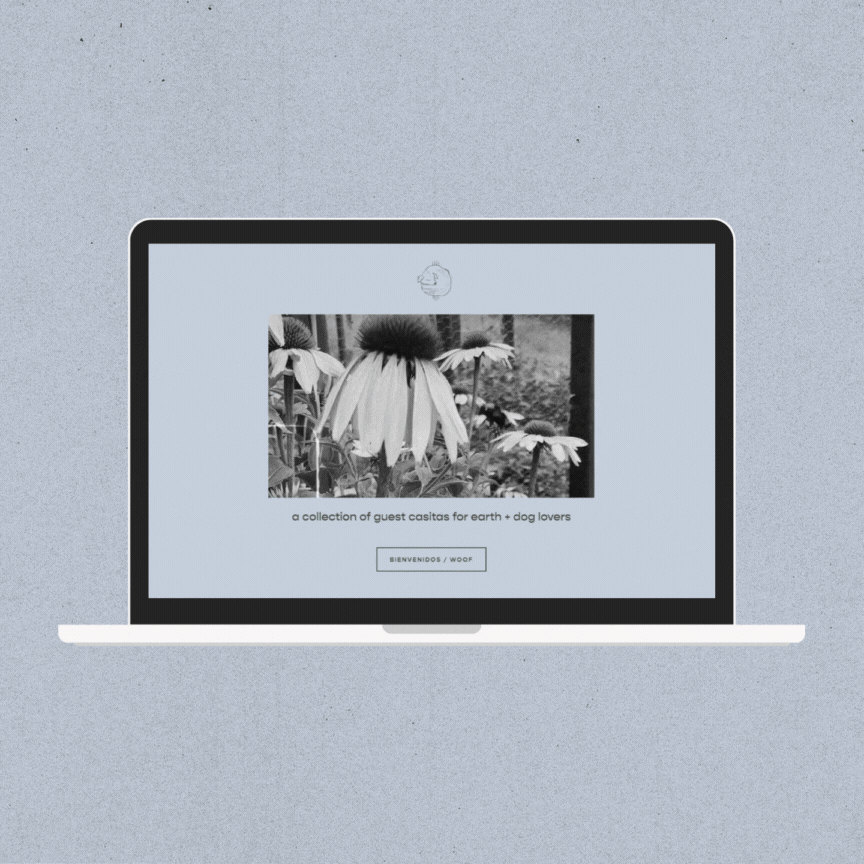 Casa Chicoma - homepage-darker.gif