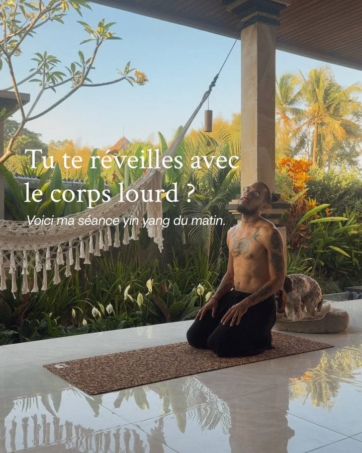 Certains matins, mon corps est lourd et j&rsquo;ai besoin de l&rsquo;activer par une courte s&eacute;ance yin yang, entre 15 et 20 min.
 Je commence par lui apporter de la chaleur et du mouvement, puis je ralentis jusqu&rsquo;&agrave; l&rsquo;immobil