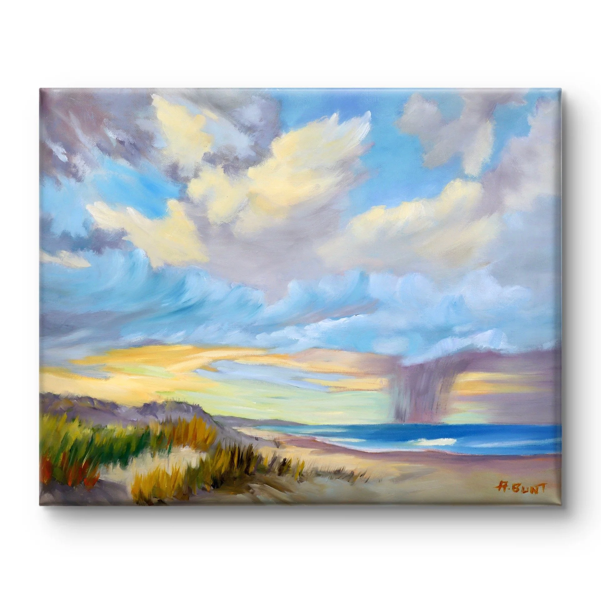 audrey bunt - art .jpg