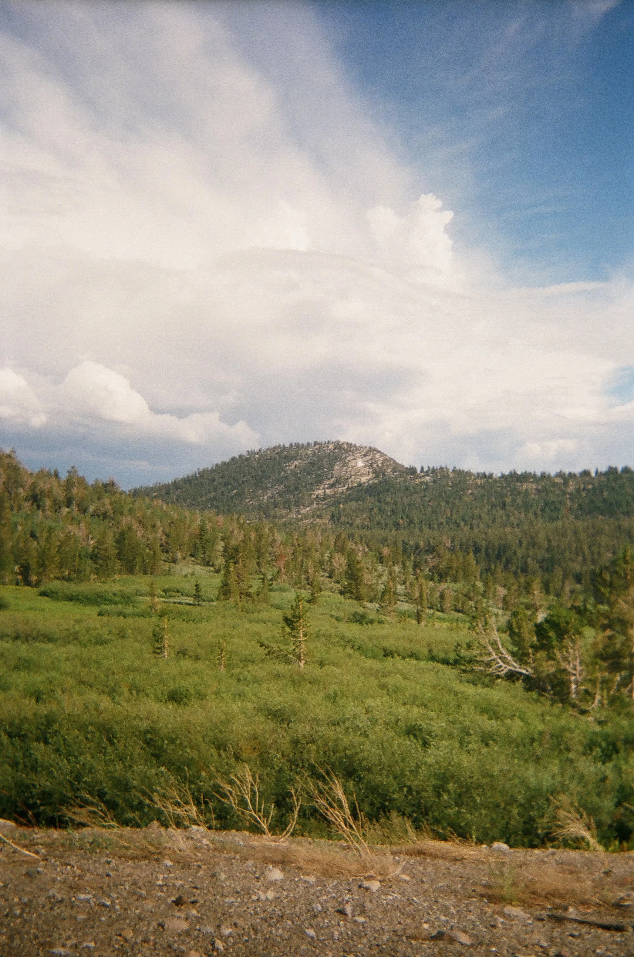 09220019.jpg