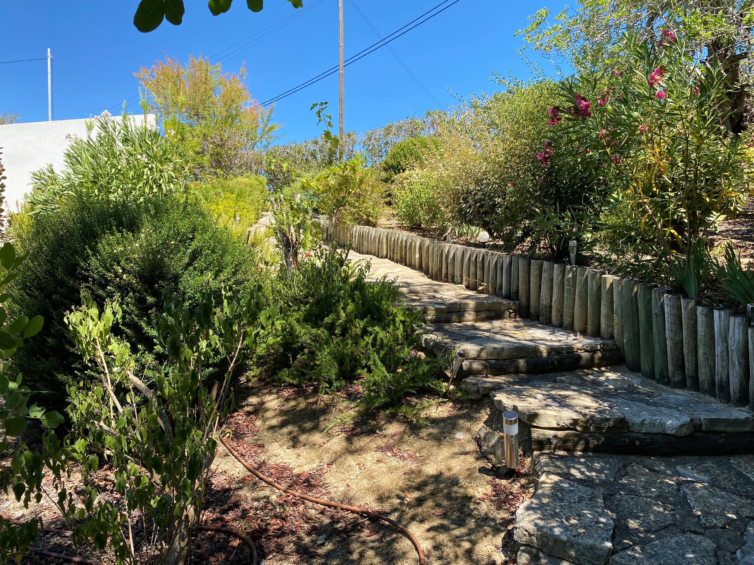 Garden path 