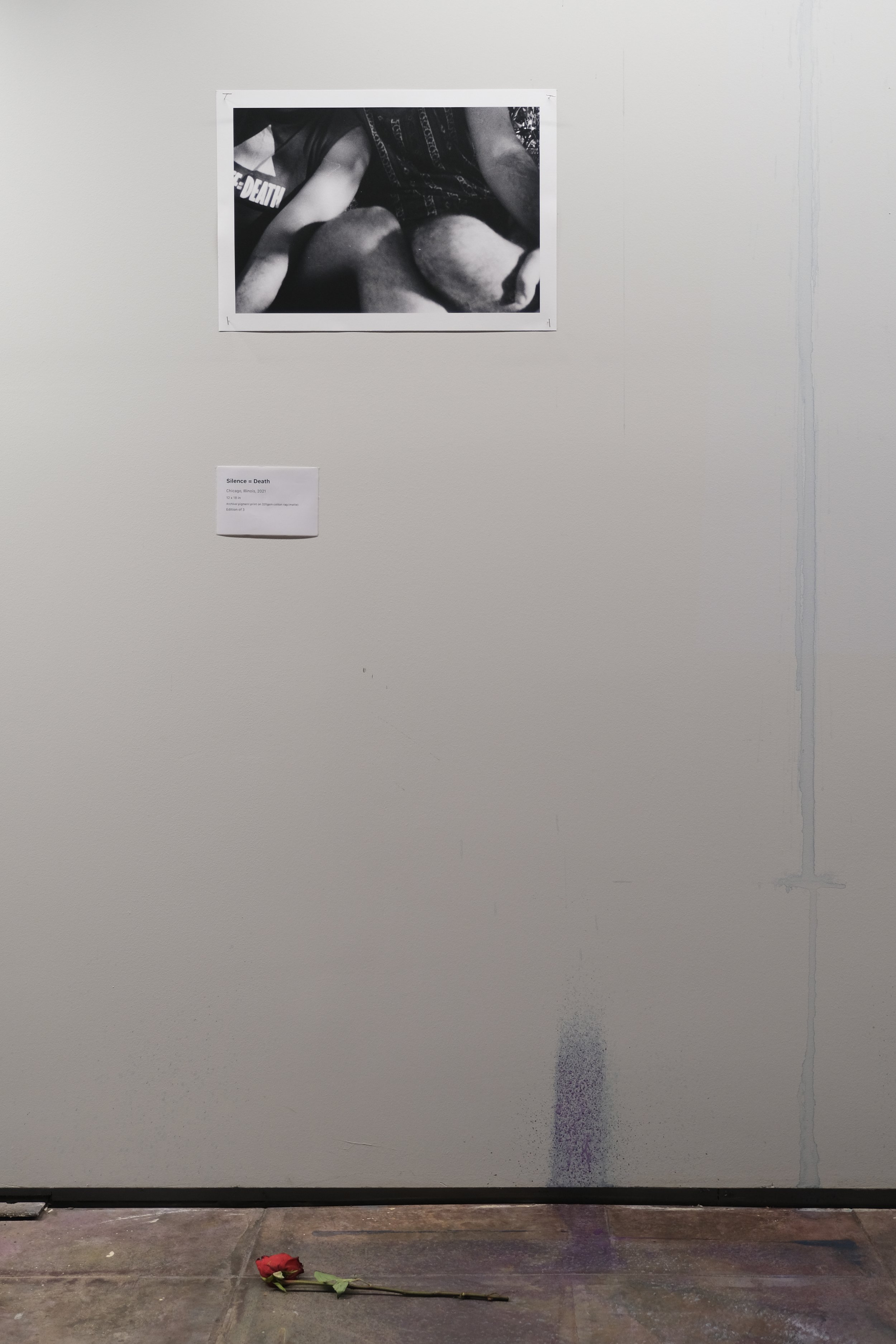 DSCF4315.JPG