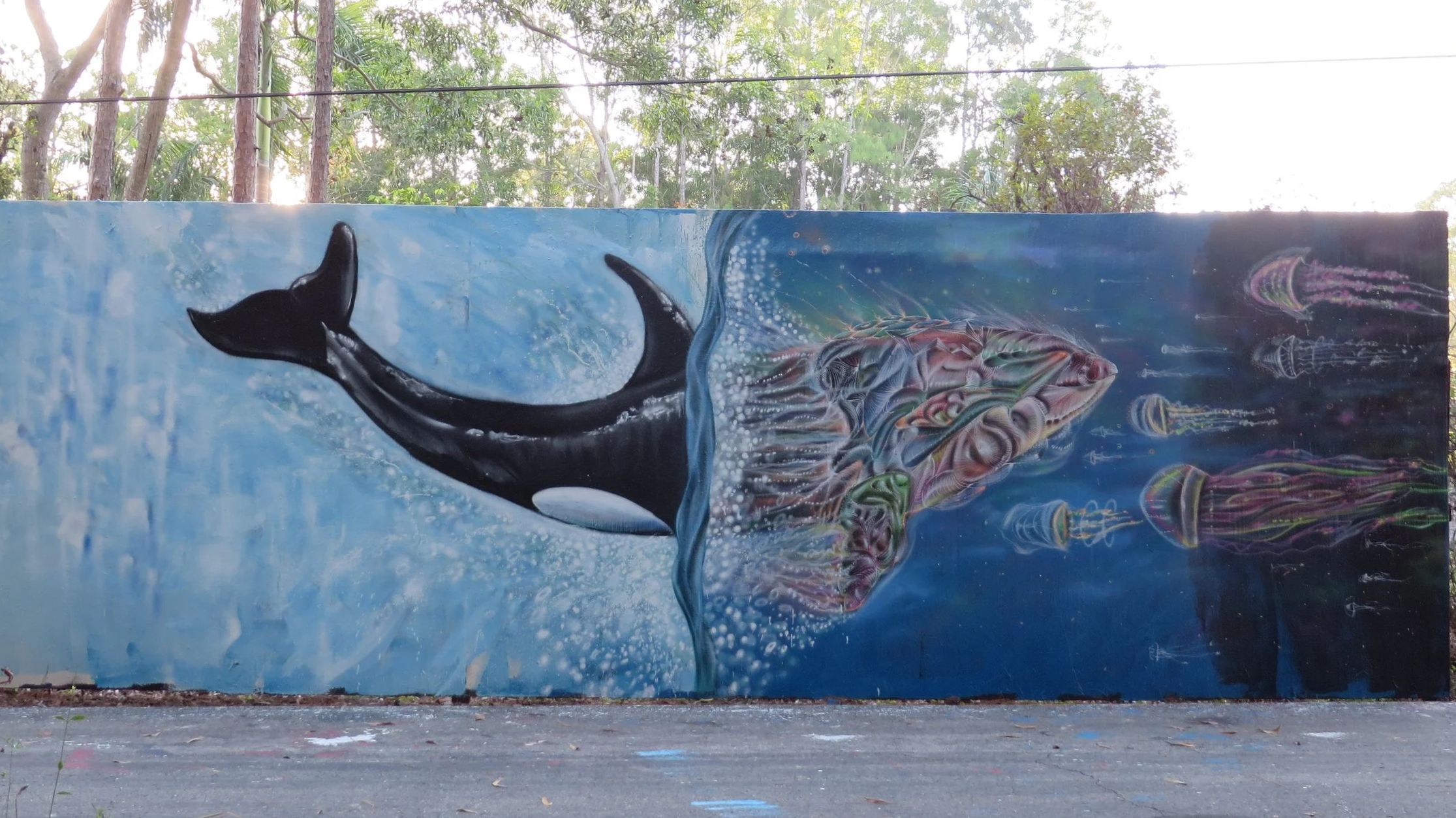 Tale of two worlds. 30'x10' located in Naples Florida