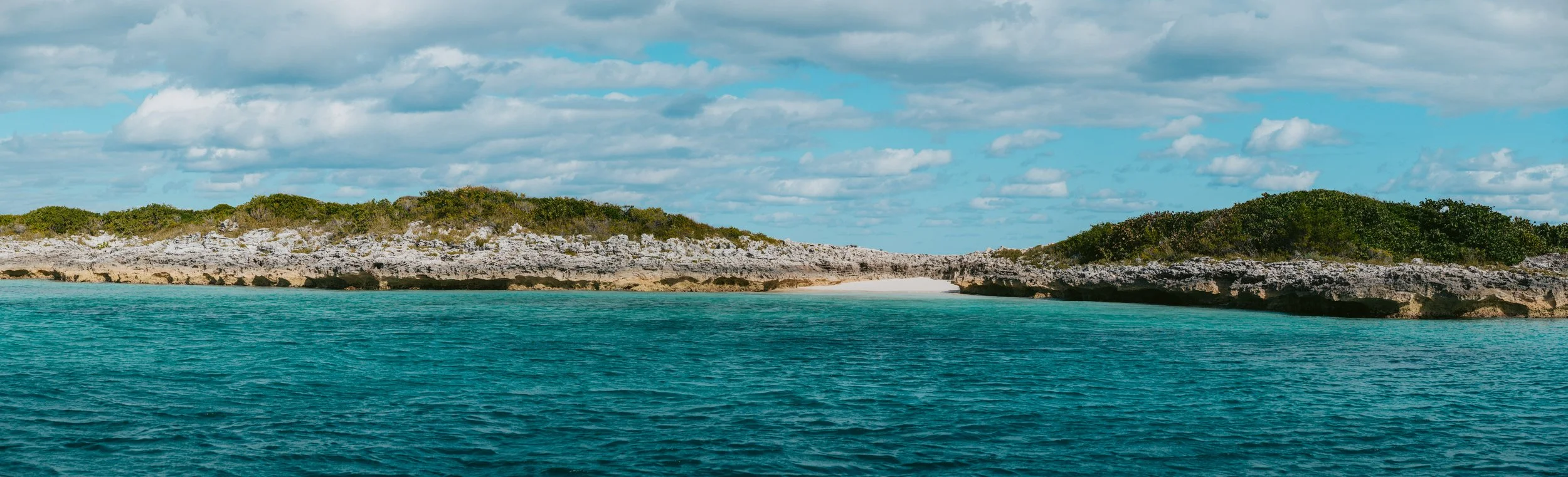 BTWavesBahamasJan-83.jpg