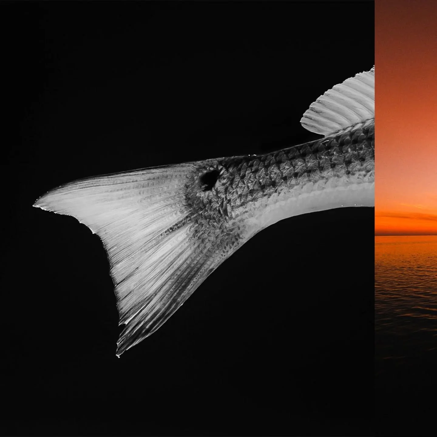 Less stuff in the frame, less colors in the frame, a little more intention behind each one, and still getting the whole story across (I hope).

Photography is a bit like cooking, you work hard to collect all these different ingredients and then once 