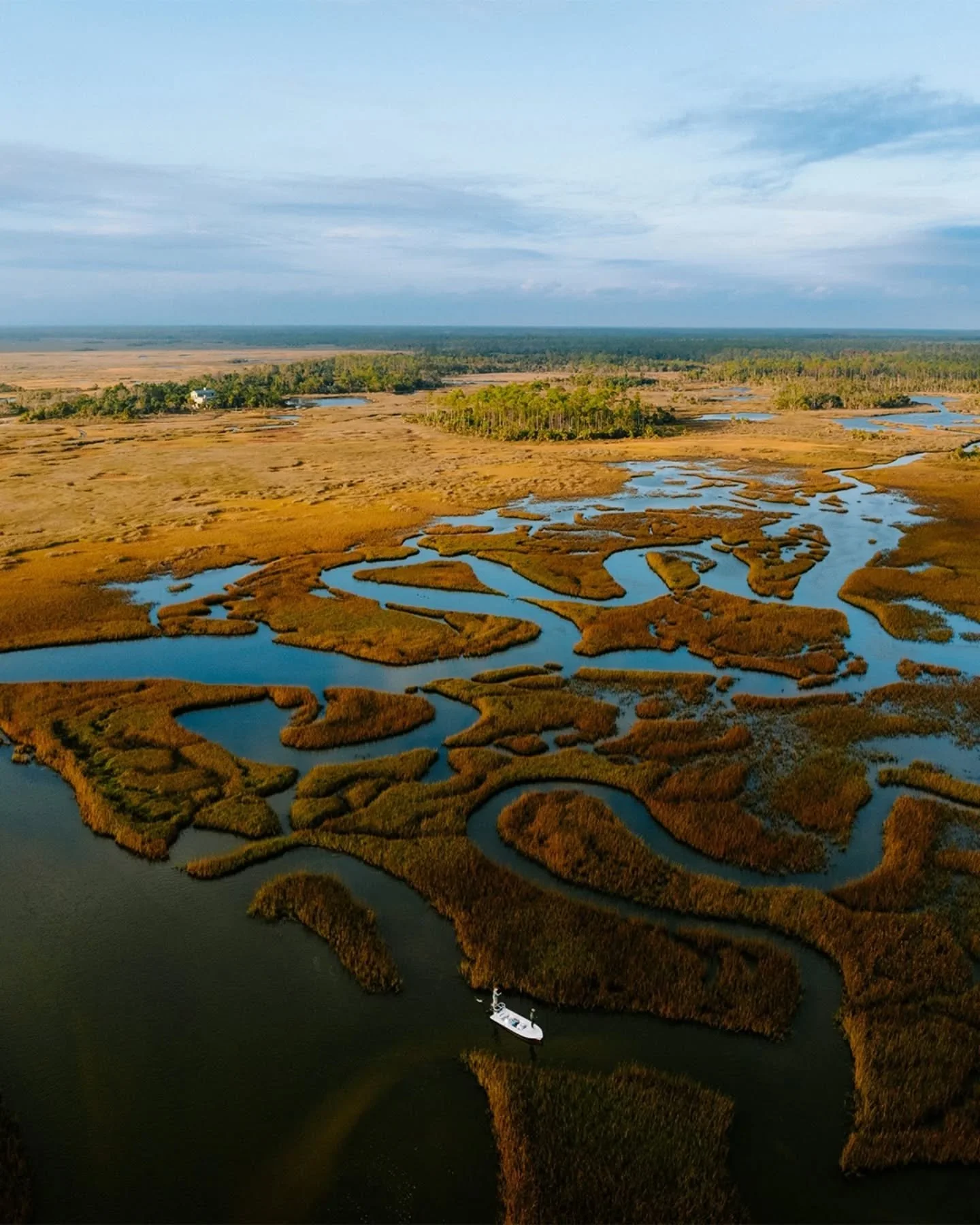Pushing back into the winding tidal paths along the nature coast is one of the perks of living in FL during the winter months. Sometimes you follow one all the way back to find nothing, but the next one may hold that golden-red belly slider you've be