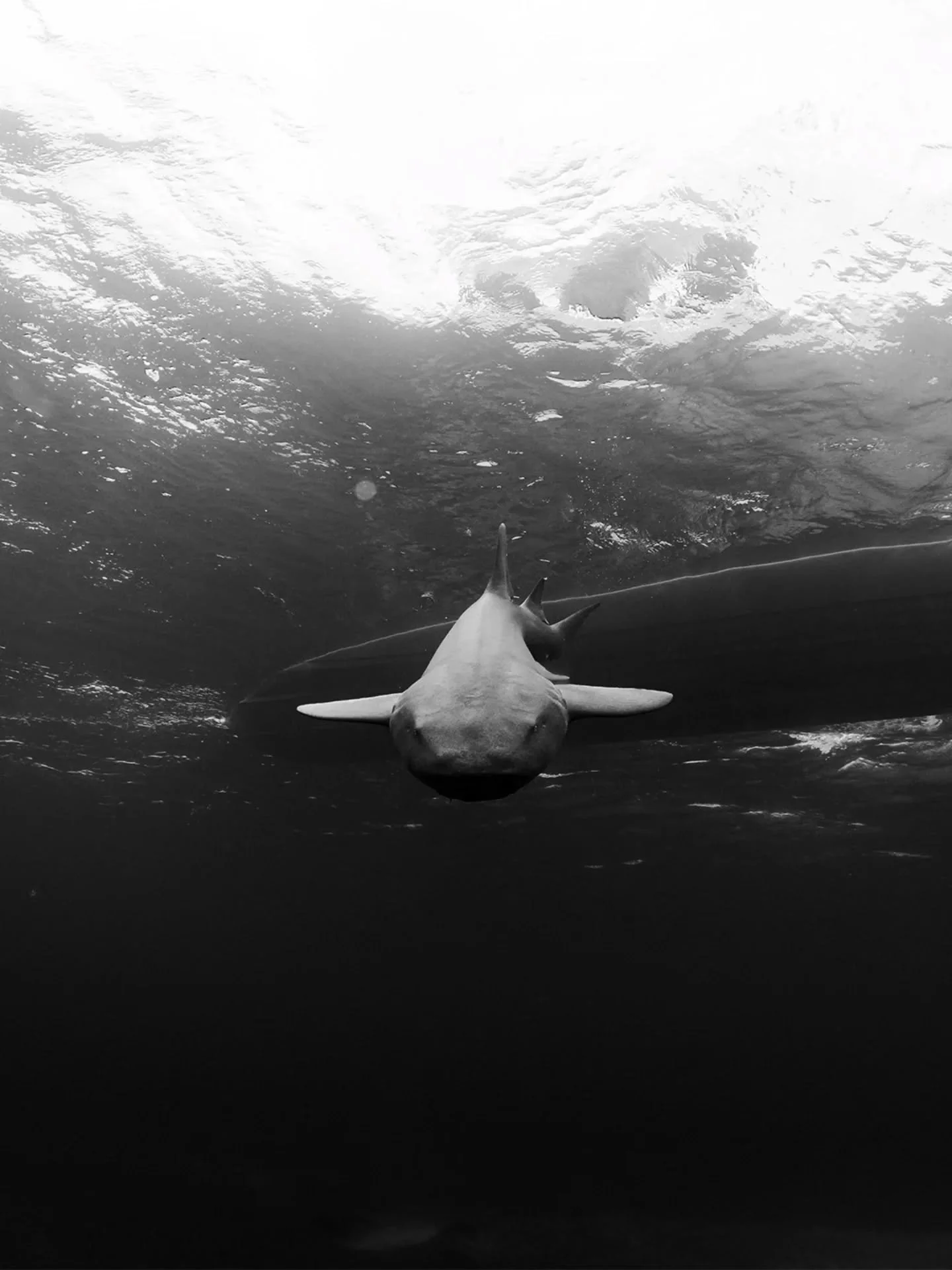 Finally made it back - Bahamas with @btwaves 

More on this later and in the substack soon (link in bio)