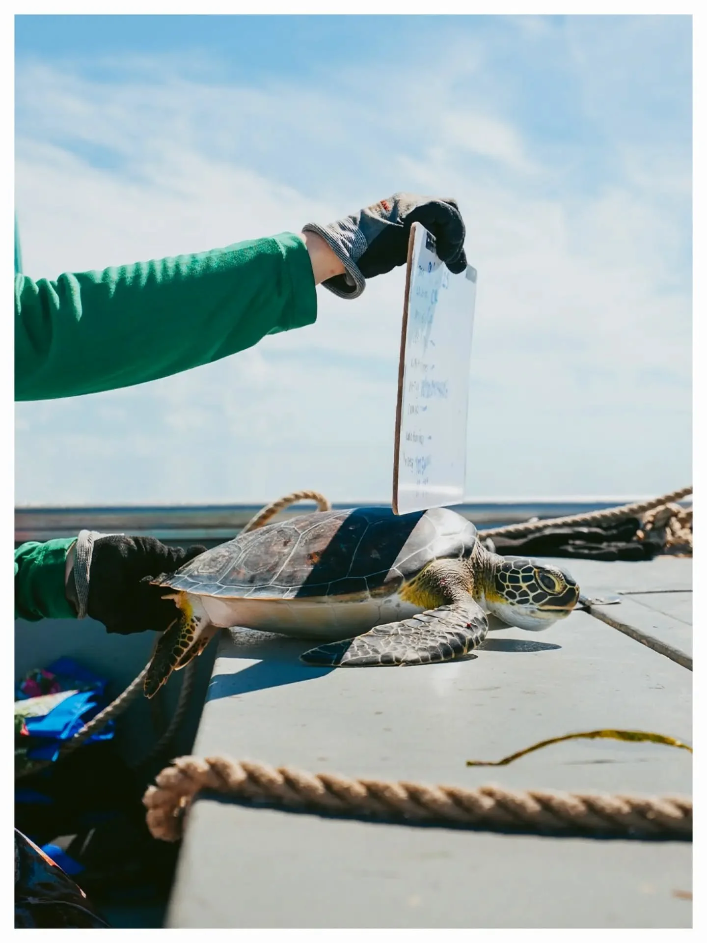 Some of the most meaningful work happens right here in our own backyards. 

Whether you live out west, up north, or right here in Florida, a connection to the land and water that we share with nature's creatures is deepened the more time we spend wit