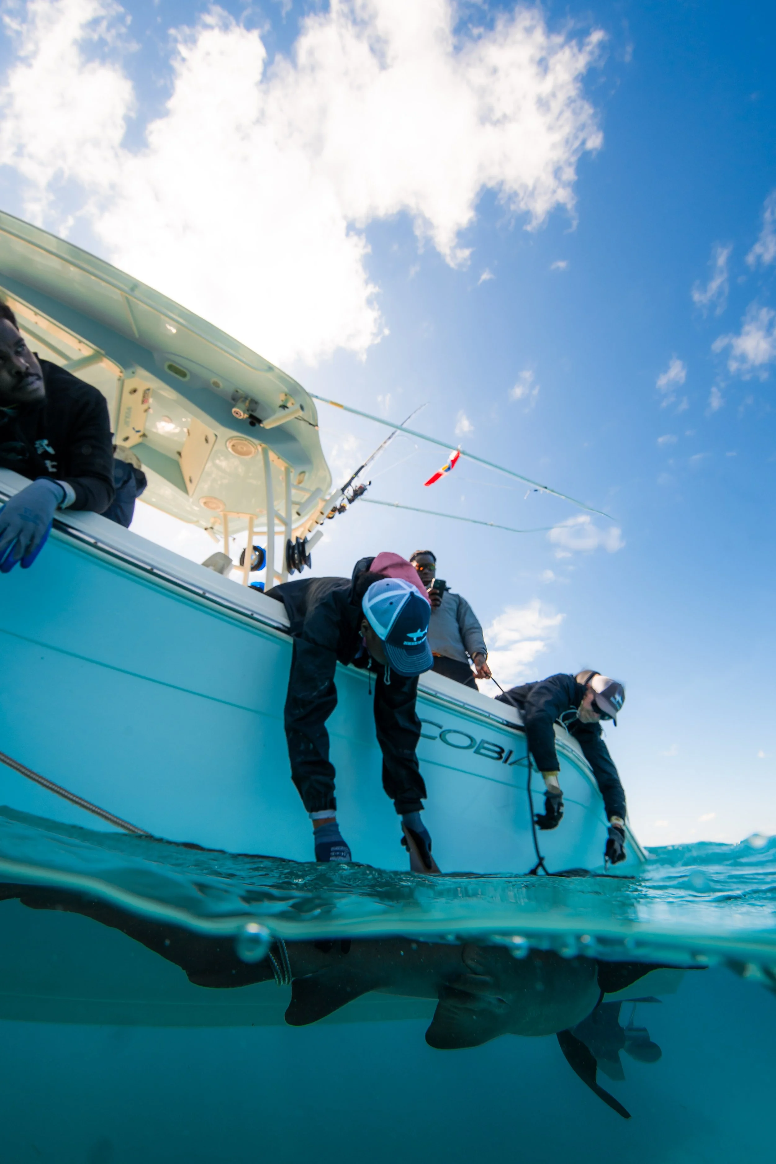 BTWavesBahamasJan-54.jpg