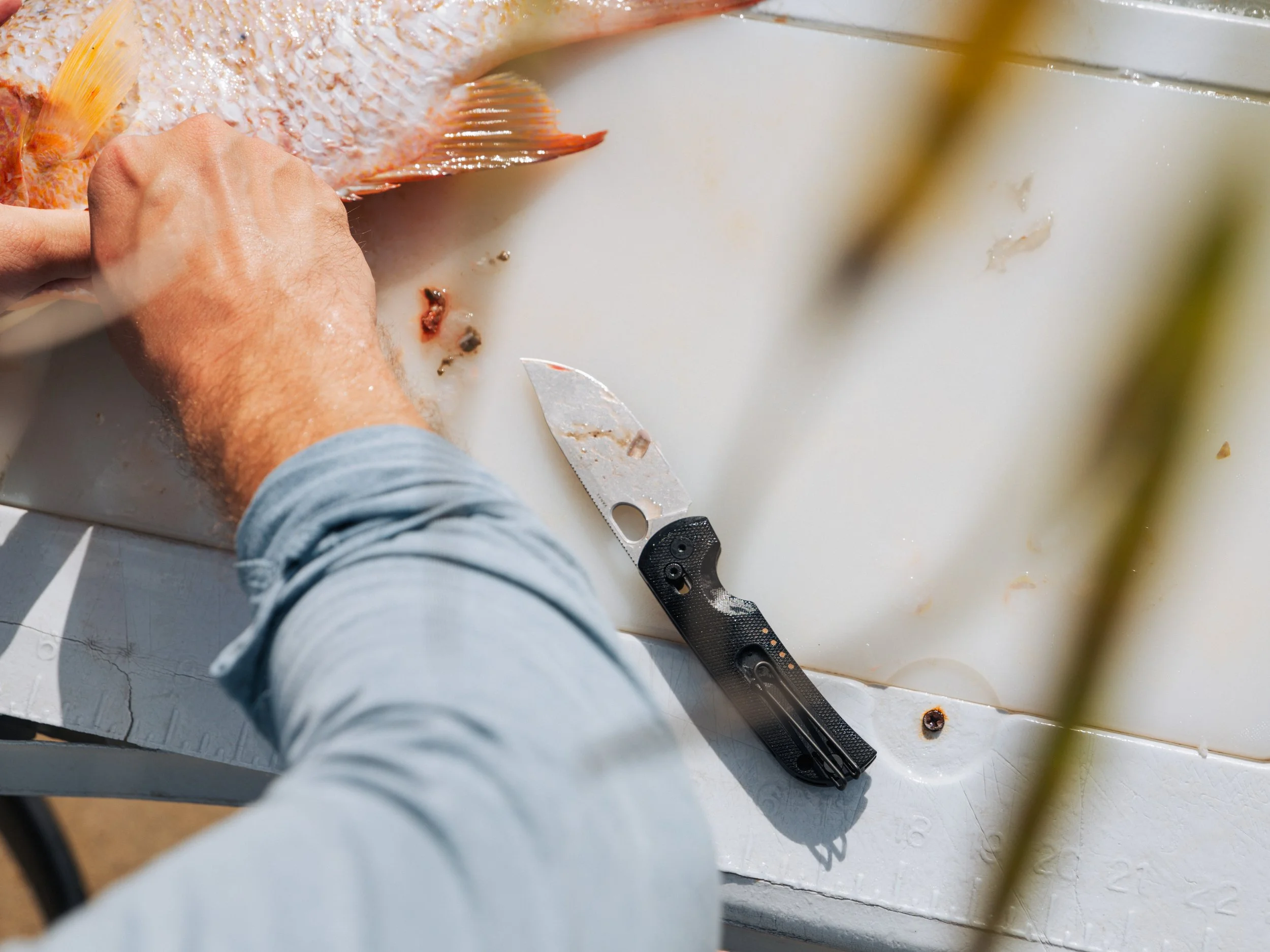 OuietCarry-TheBearing-FLKeys-5.jpg