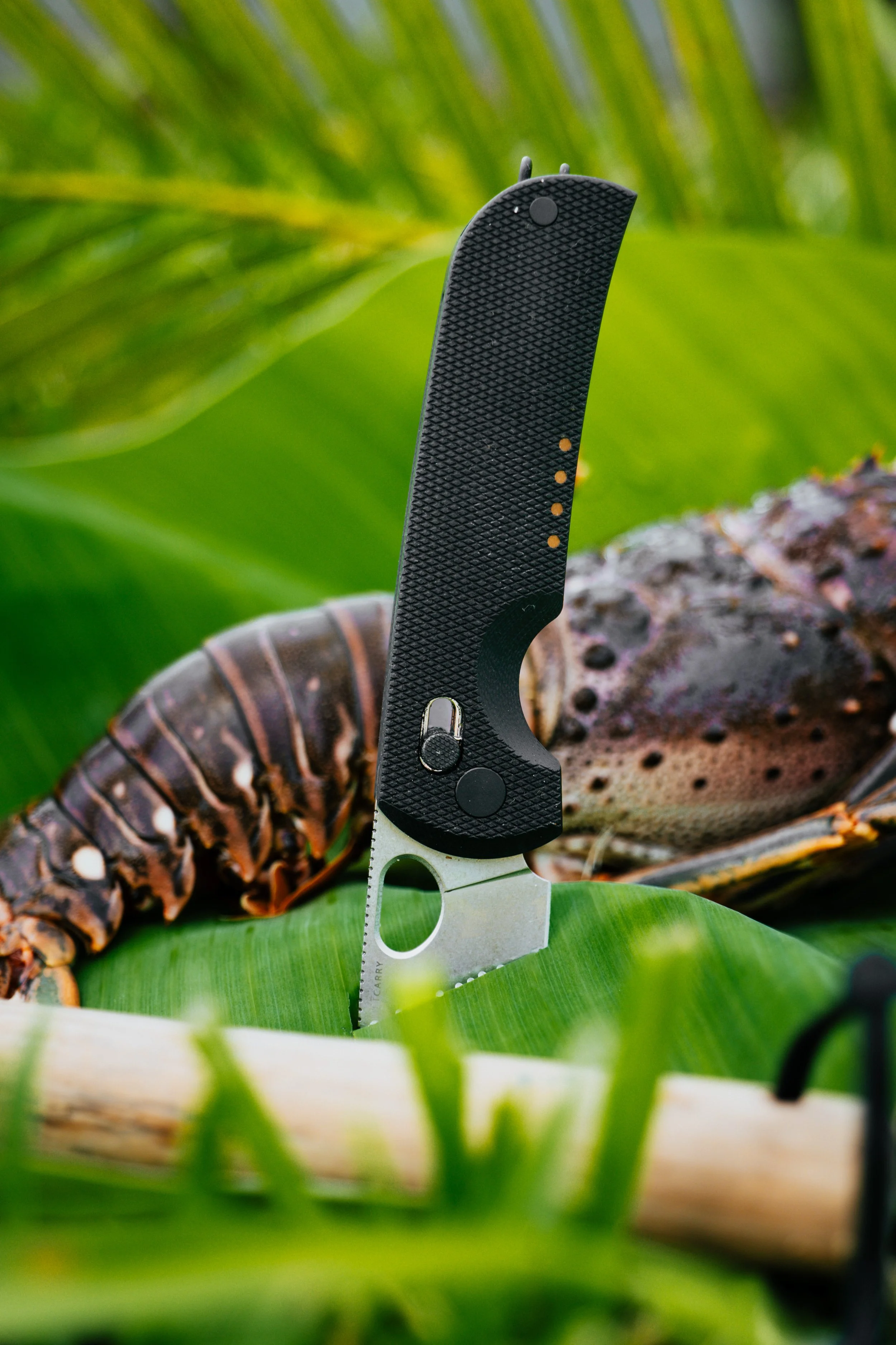 OuietCarry-TheBearing-FLKeys-8.jpg