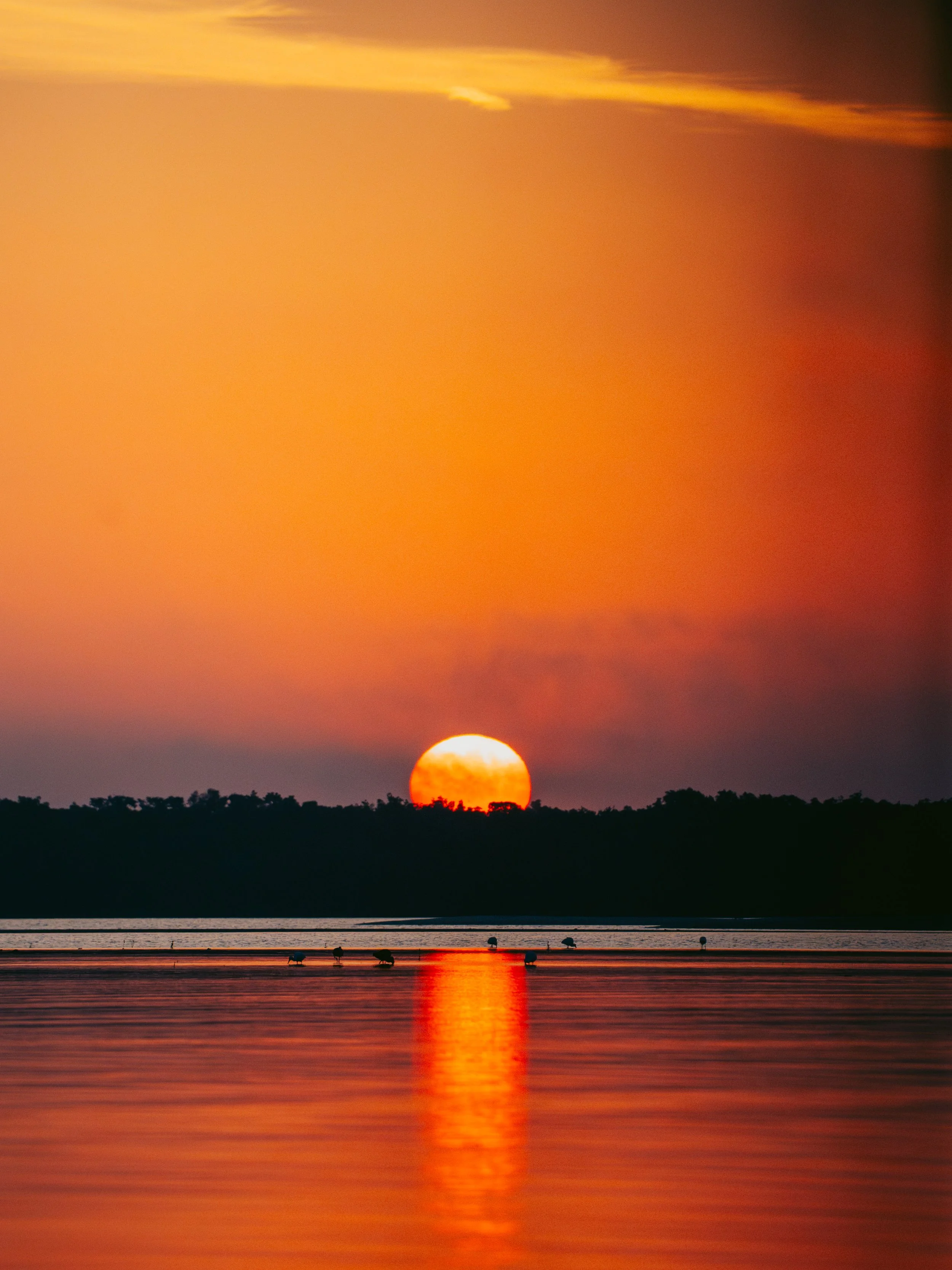 TerraCeiaPort-22-2.jpg (Copy)