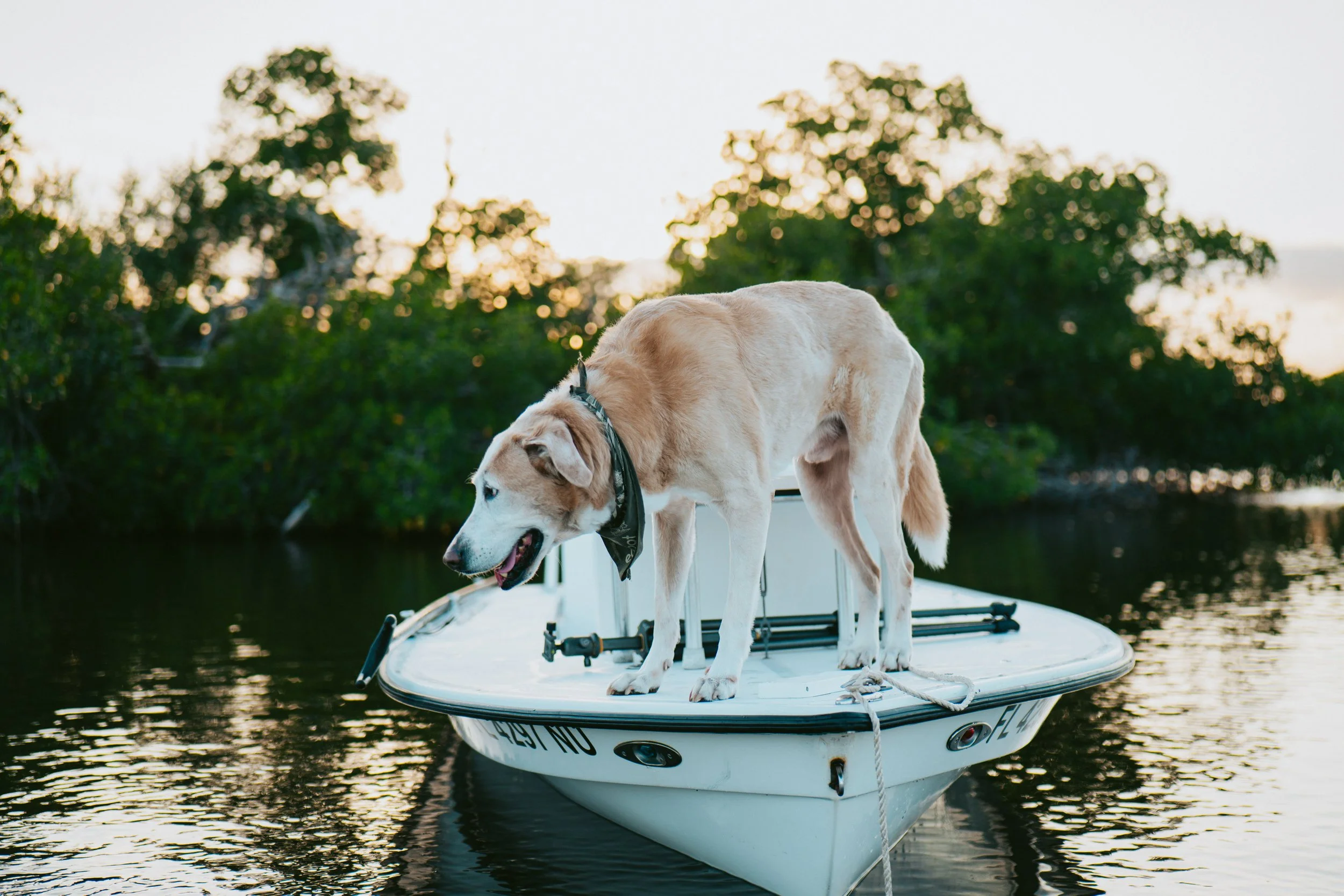 PelicanFlyFishing-25.jpg