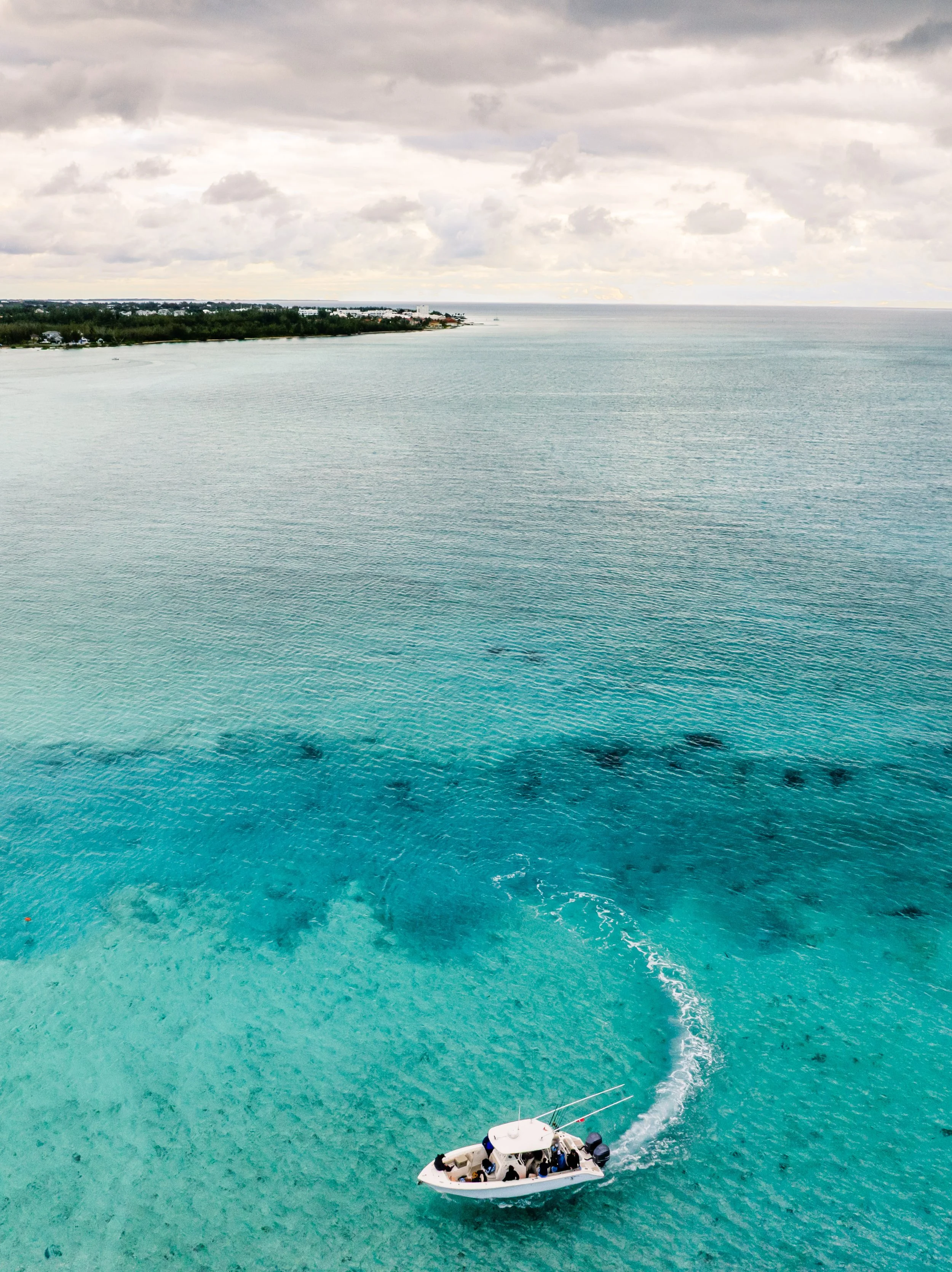 BTWavesBahamasJan-161.jpg