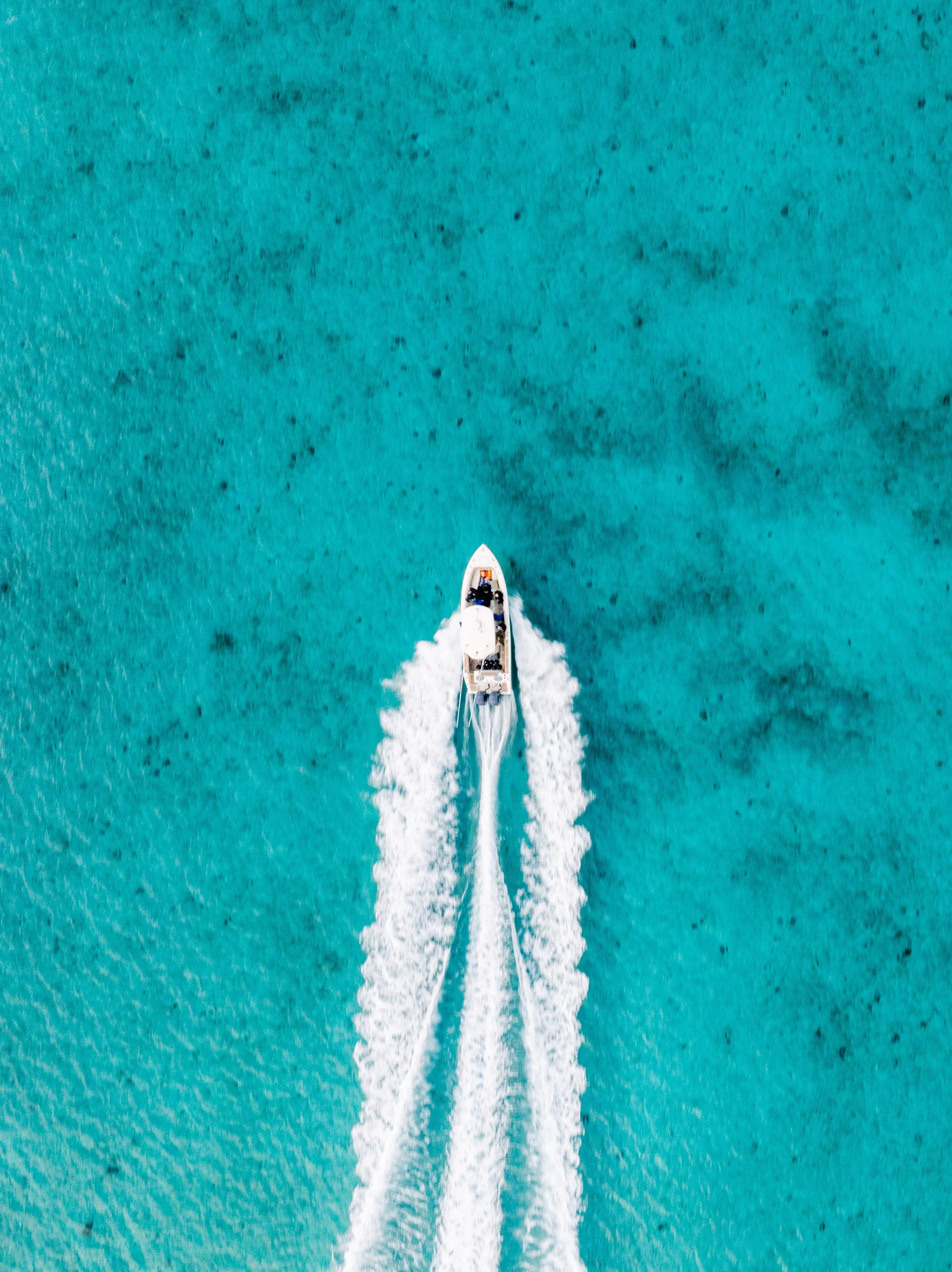 BTWavesBahamasJan-159.jpg