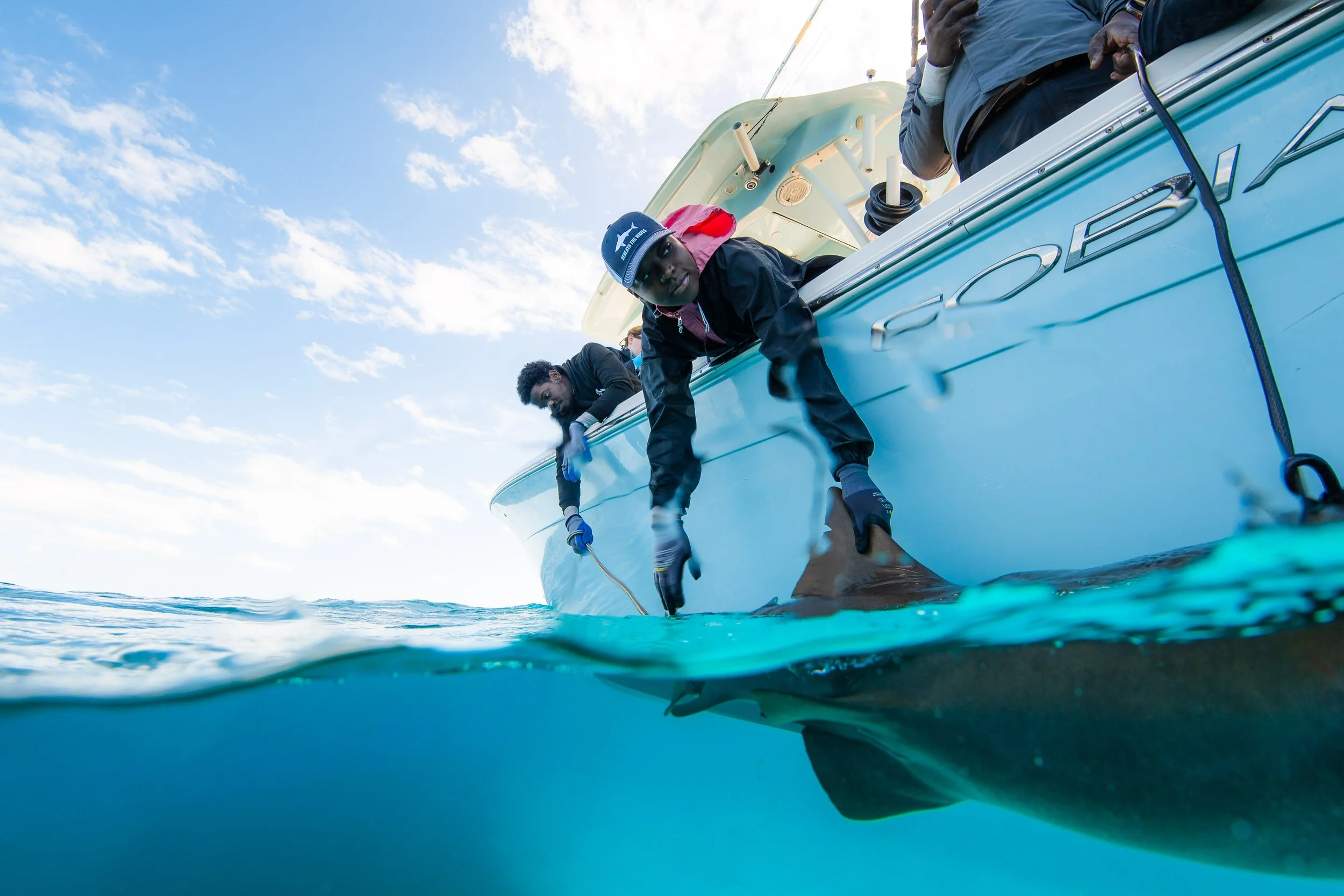 BTWavesBahamasJan-52.jpg