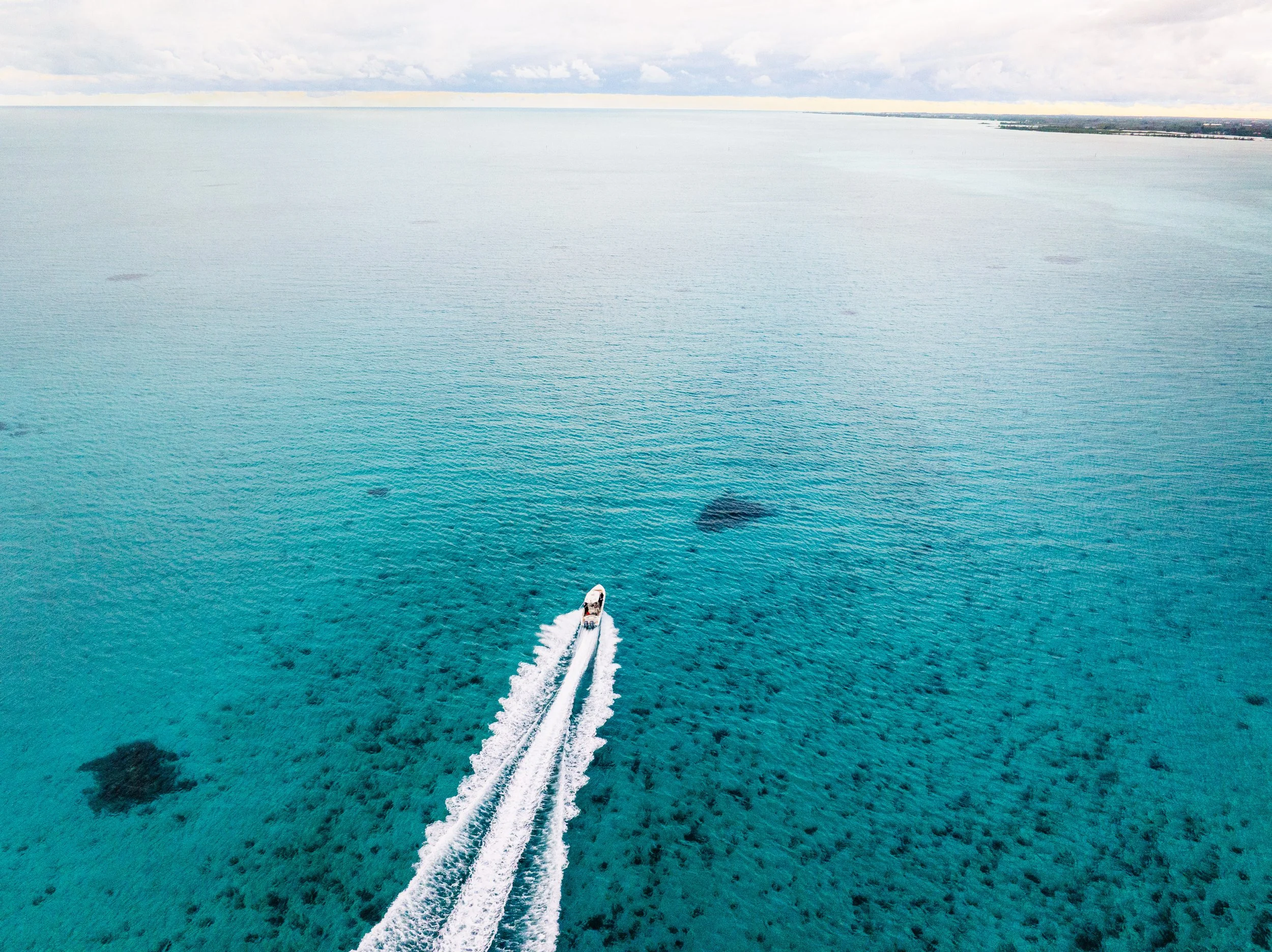 BTWavesBahamasJan-157.jpg