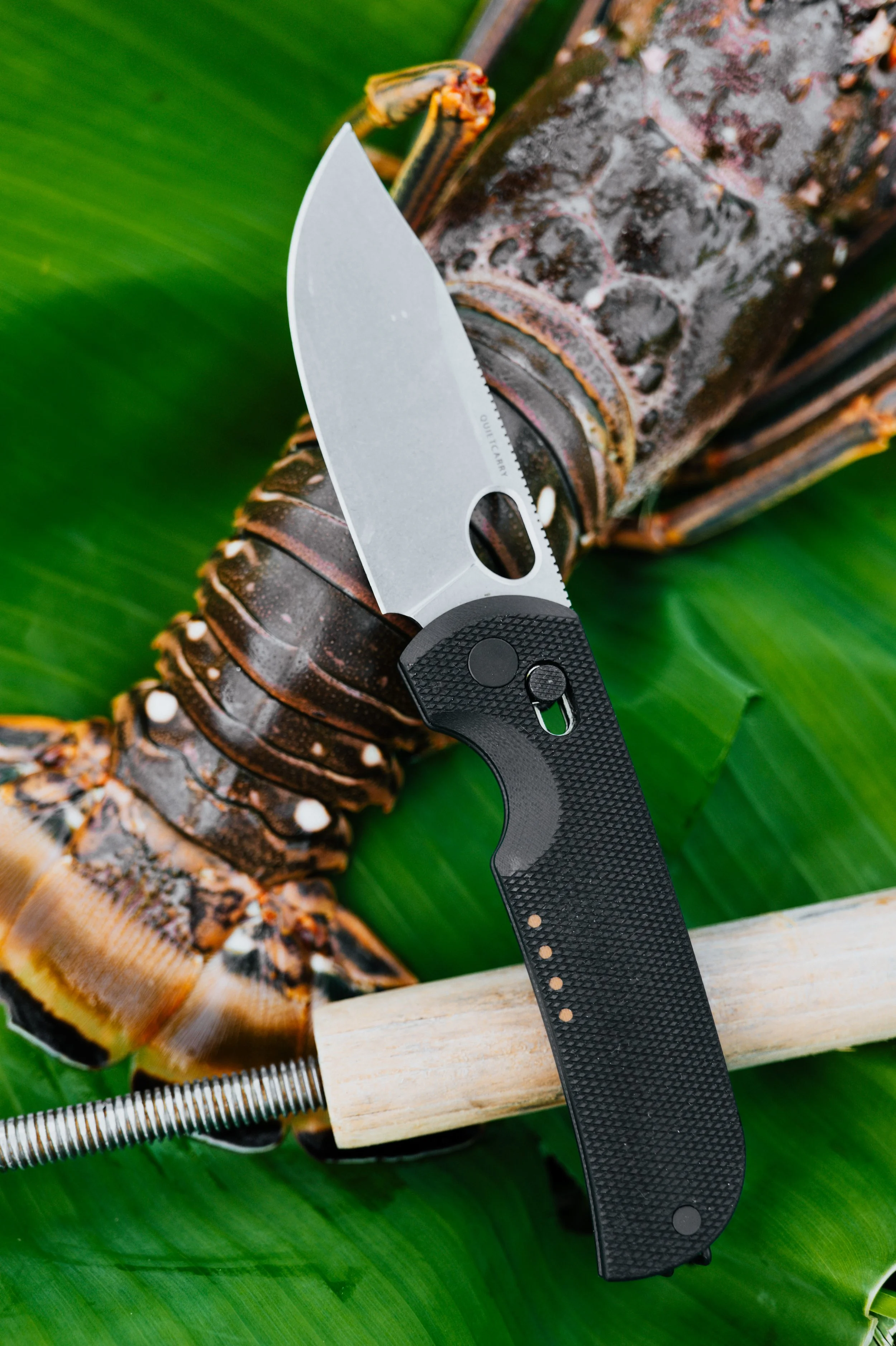 OuietCarry-TheBearing-FLKeys-9.jpg