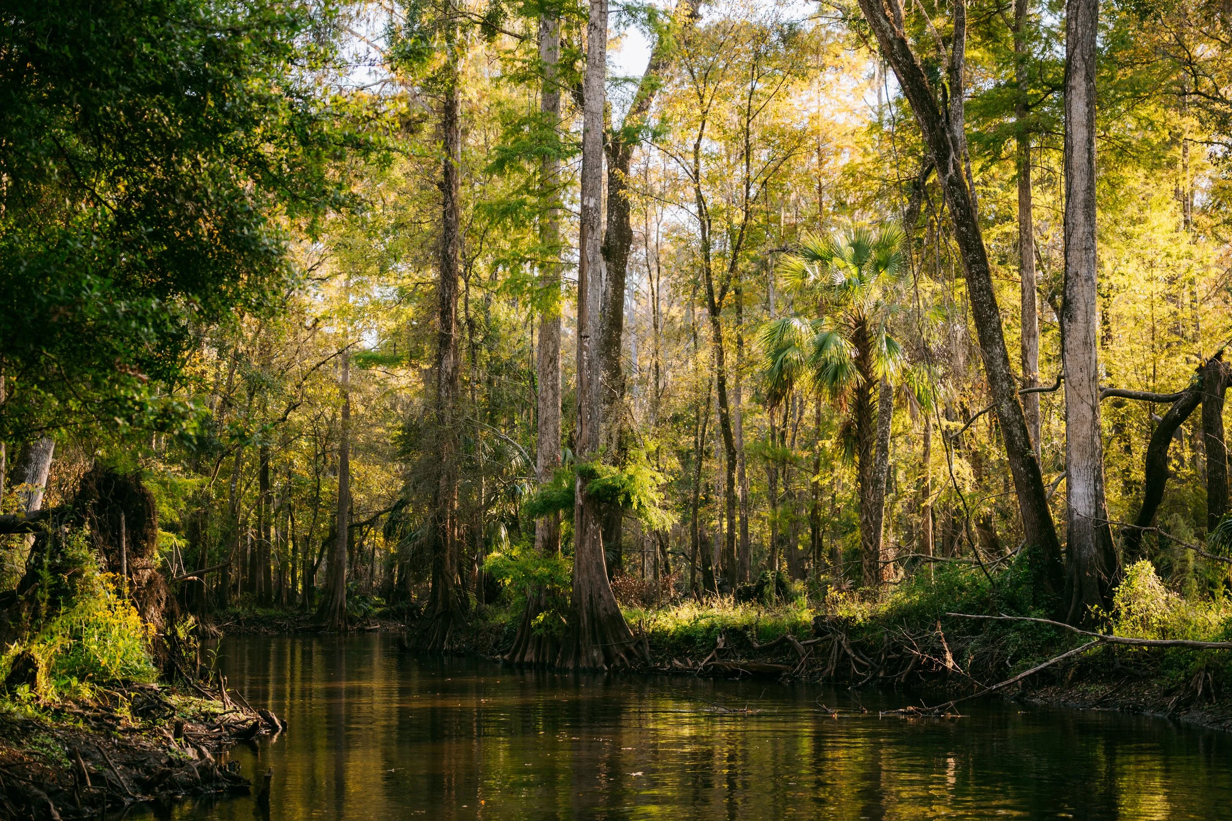 TheRiver-41.jpg
