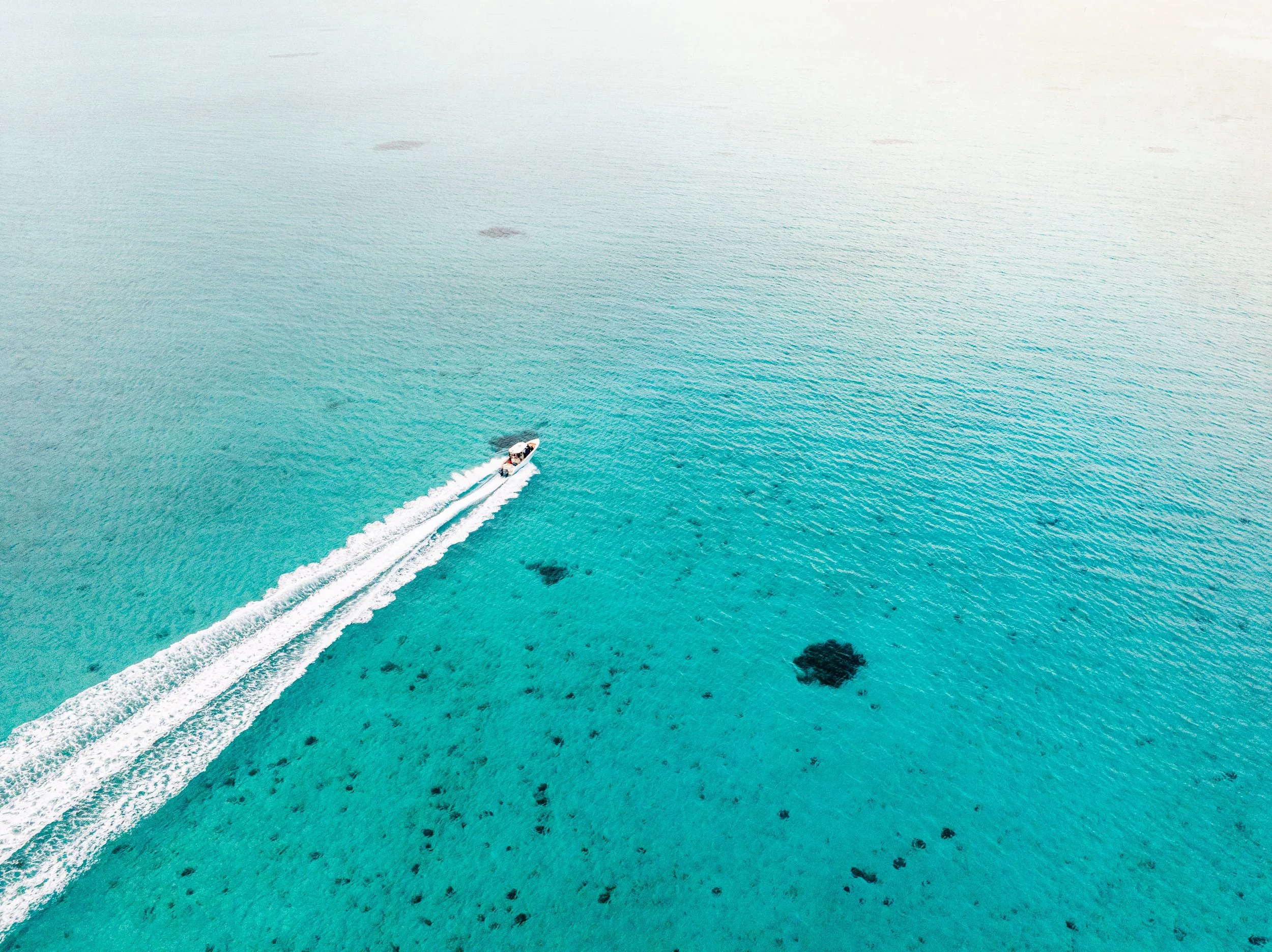 BTWavesBahamasJan-158.jpg