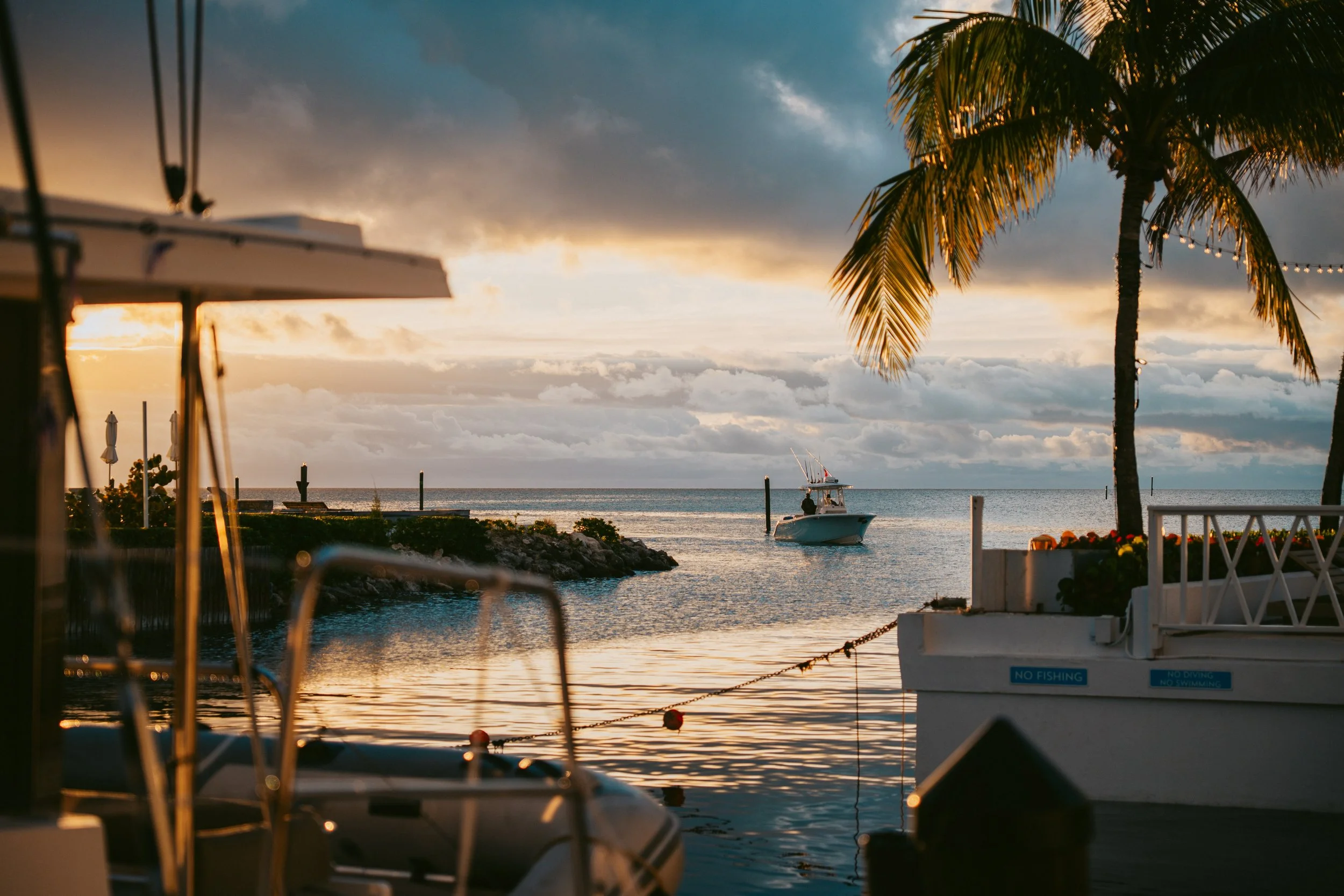 BTWavesBahamasJan-151.jpg