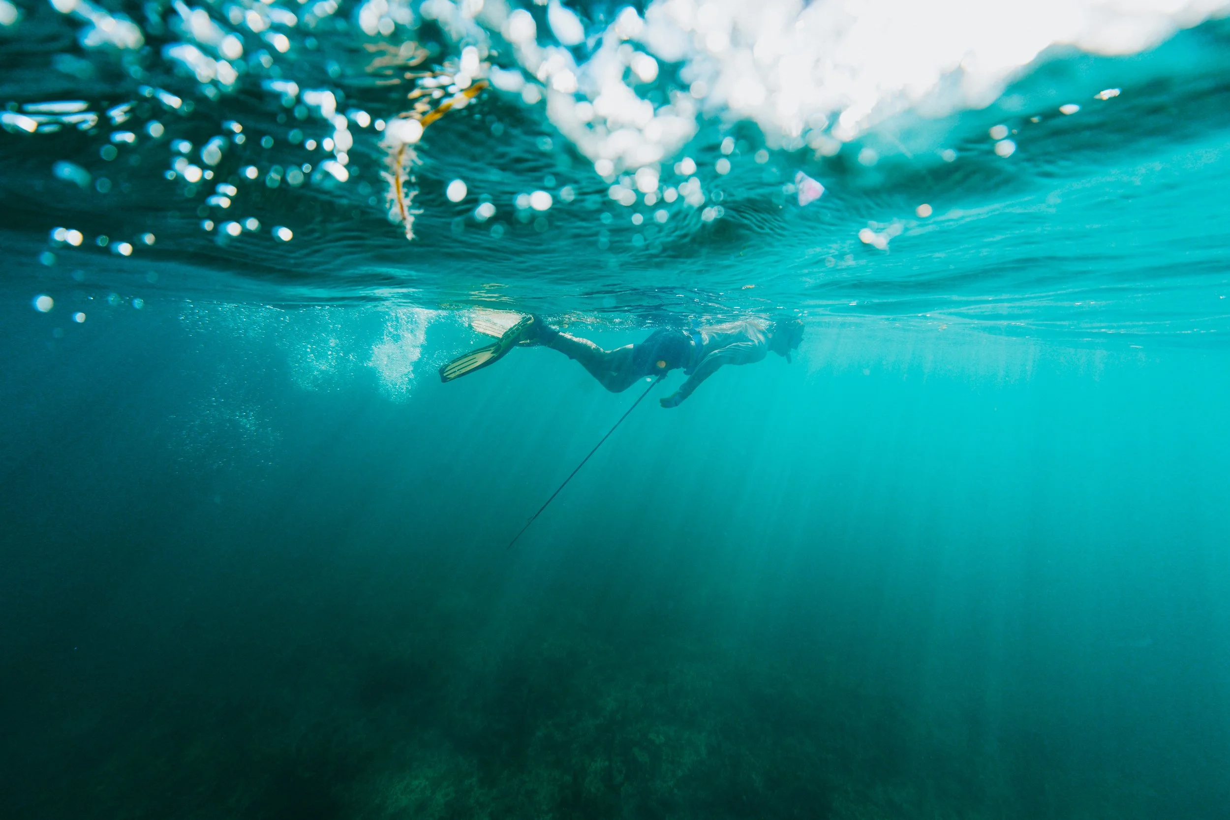 OuietCarry-TheBearing-FLKeys-18.jpg