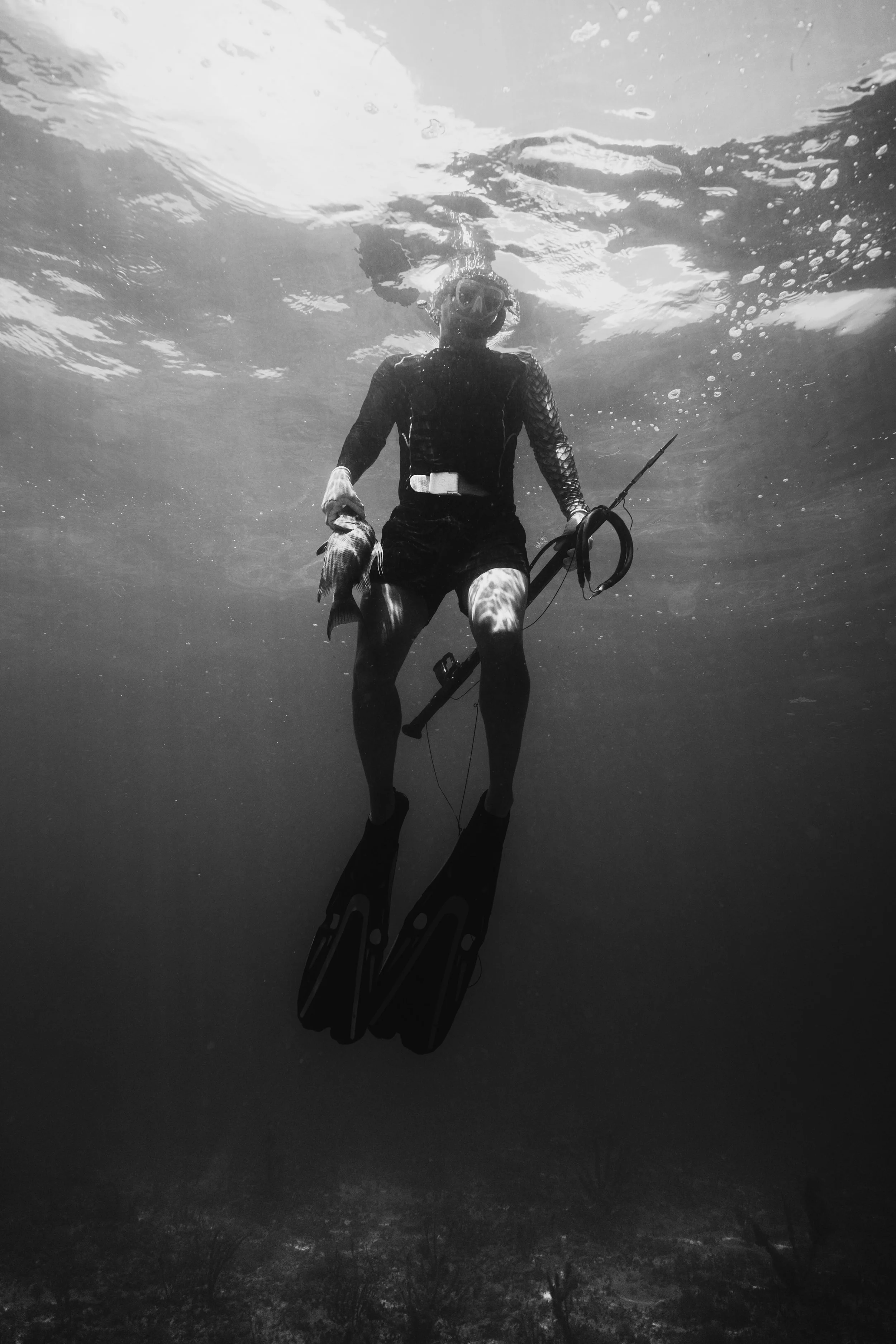 OuietCarry-TheBearing-FLKeys-2.jpg
