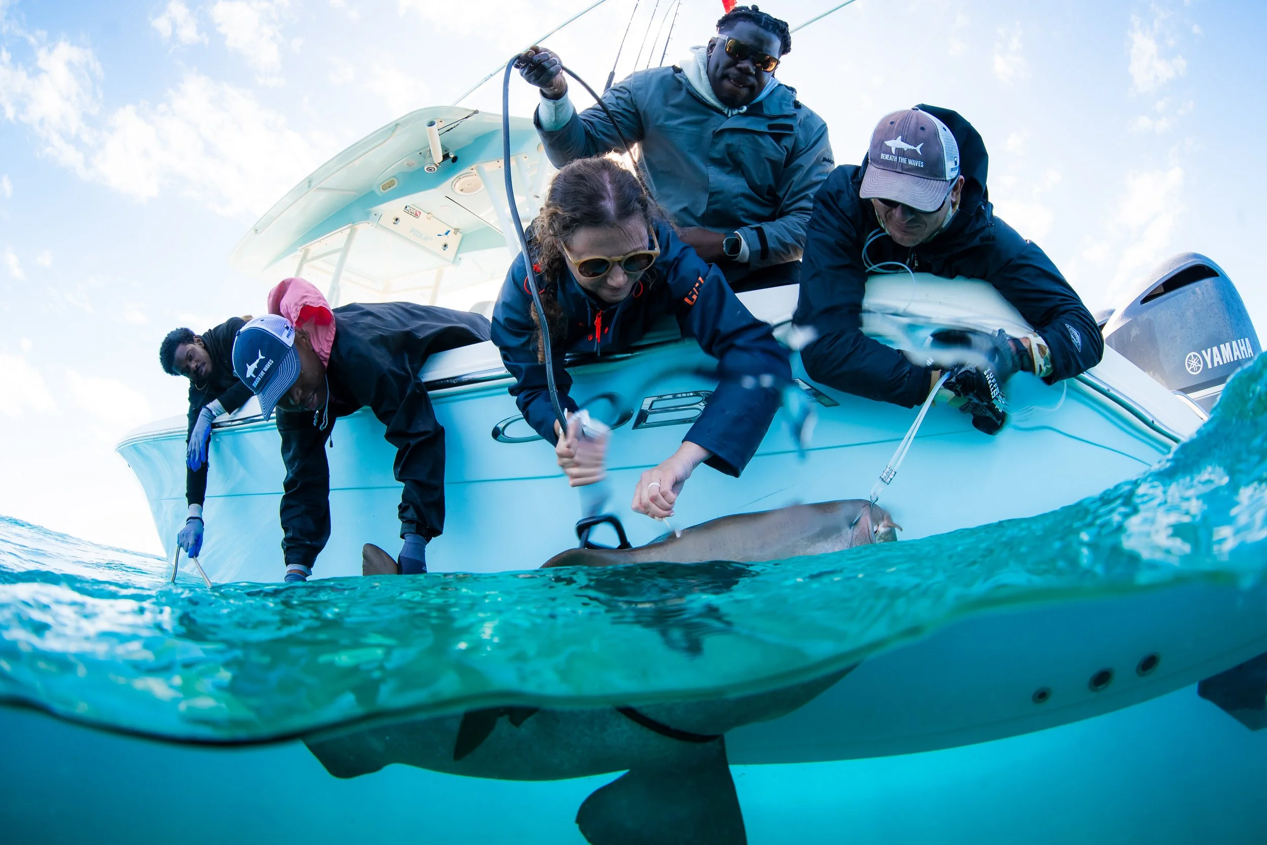 BTWavesBahamasJan-50.jpg