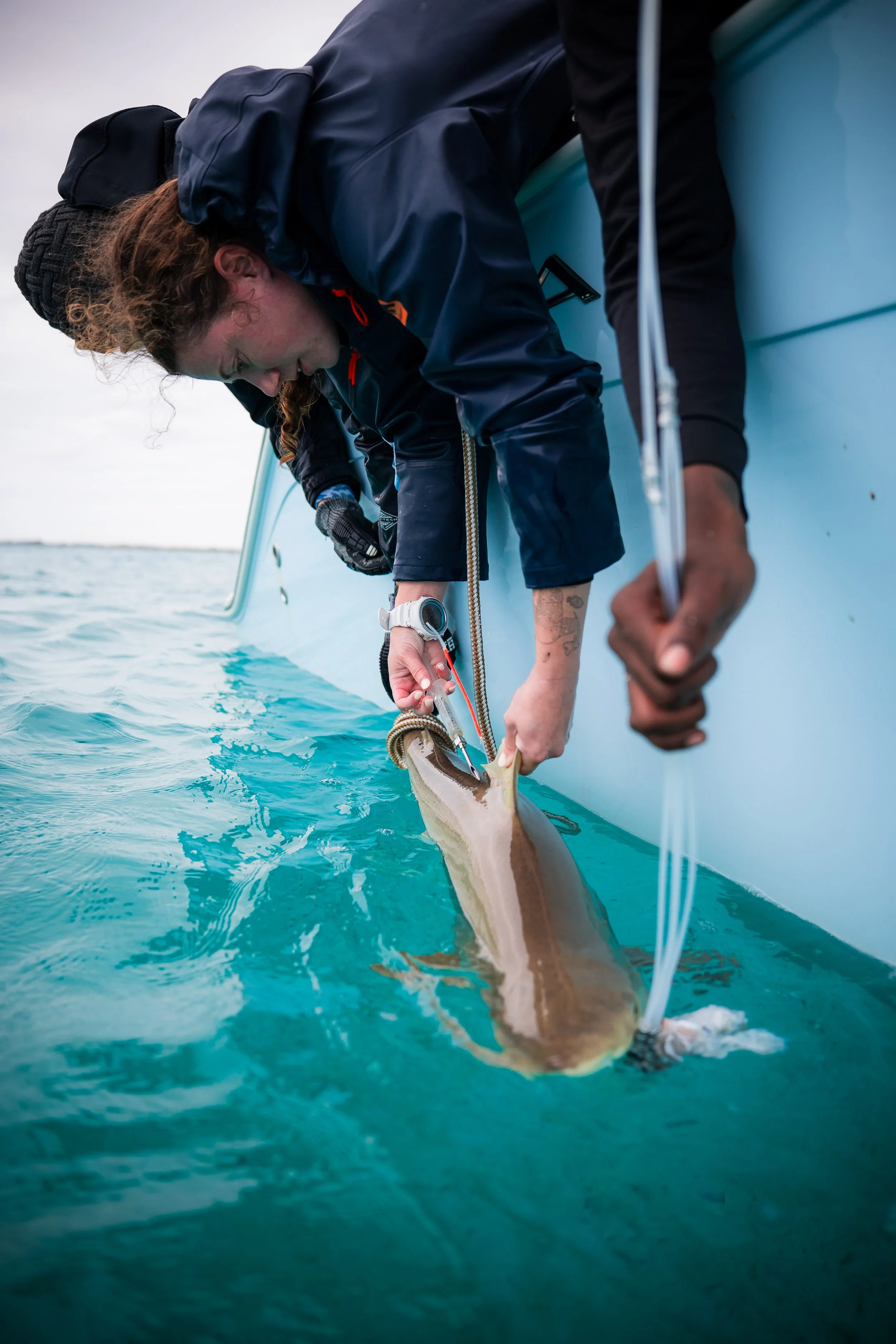 BTWavesBahamasJan-49.jpg