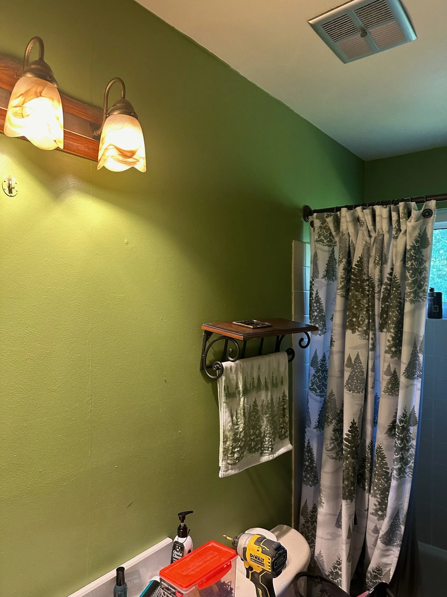 Bathroom with green wall, framed toilet paper rack, shower curtain with pine tree pattern, and vanity with cleaning supplies.