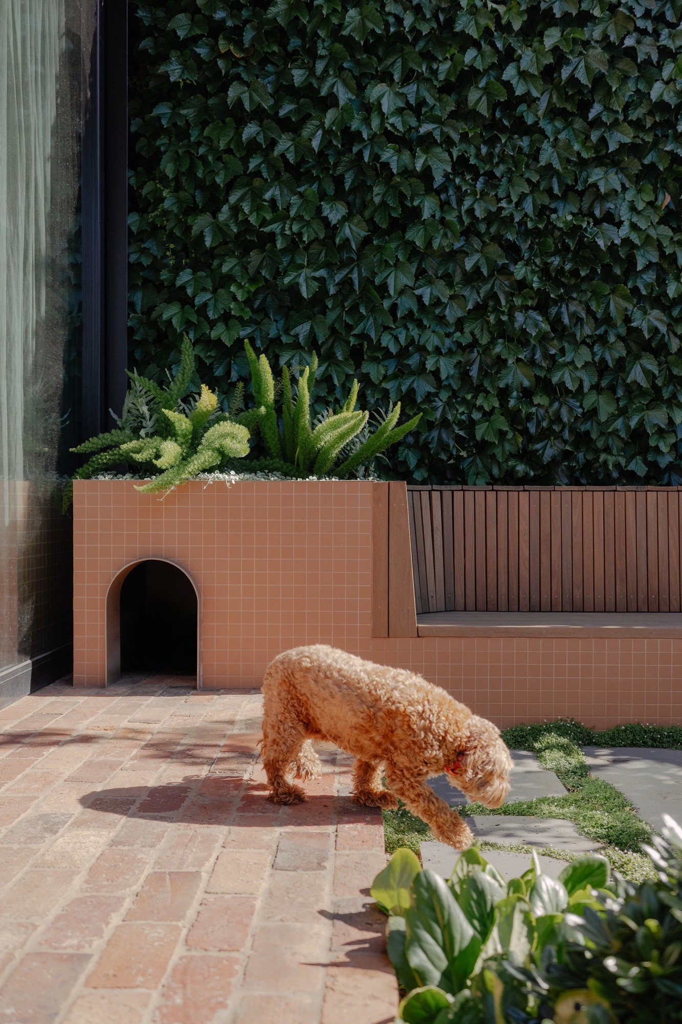 Peachy Green North Melbourne Terrace