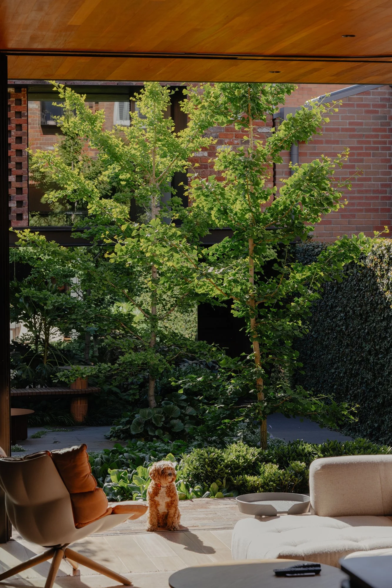 North Melbourne Terrace