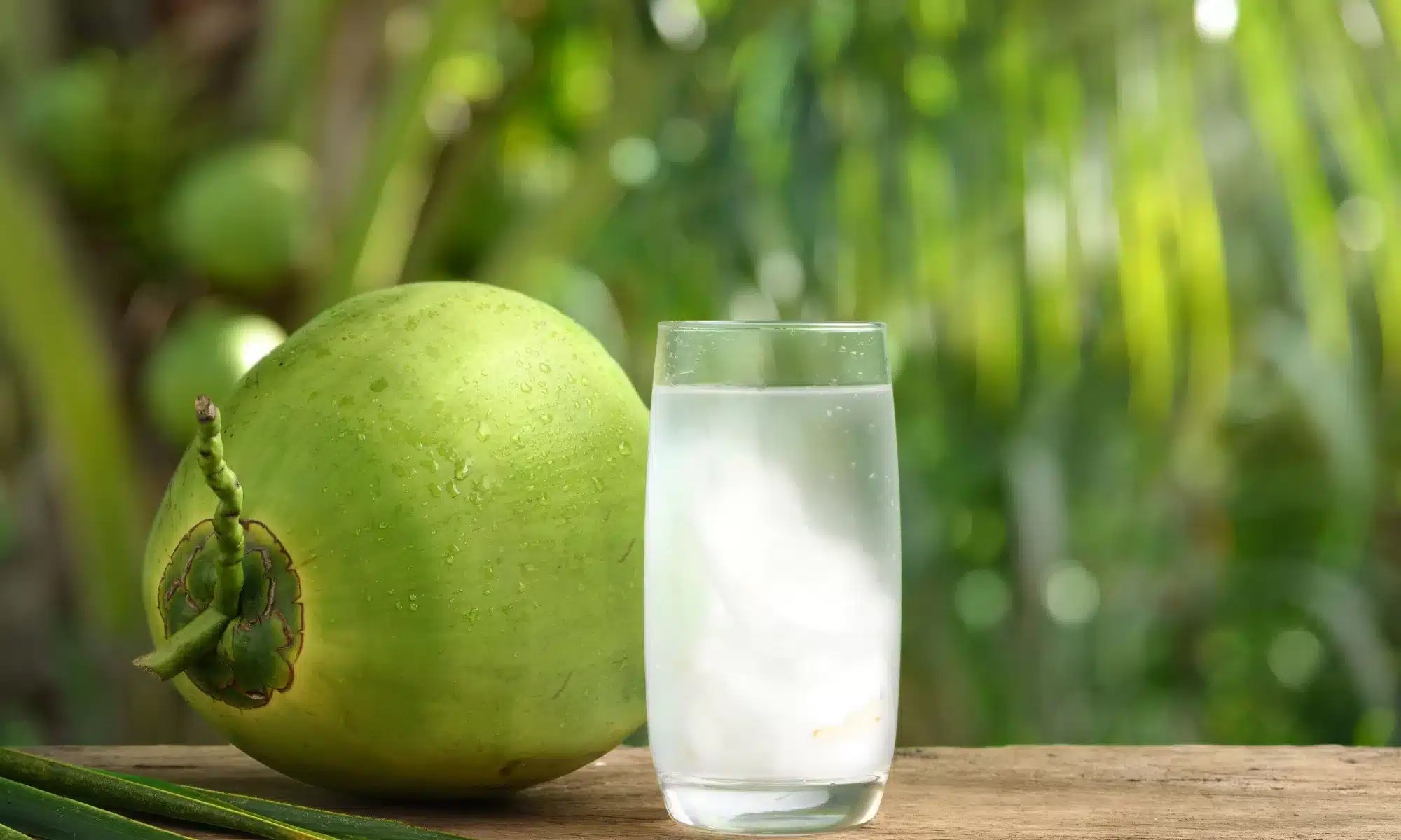 coconut-water-low-FODMAP-jpg.jpg