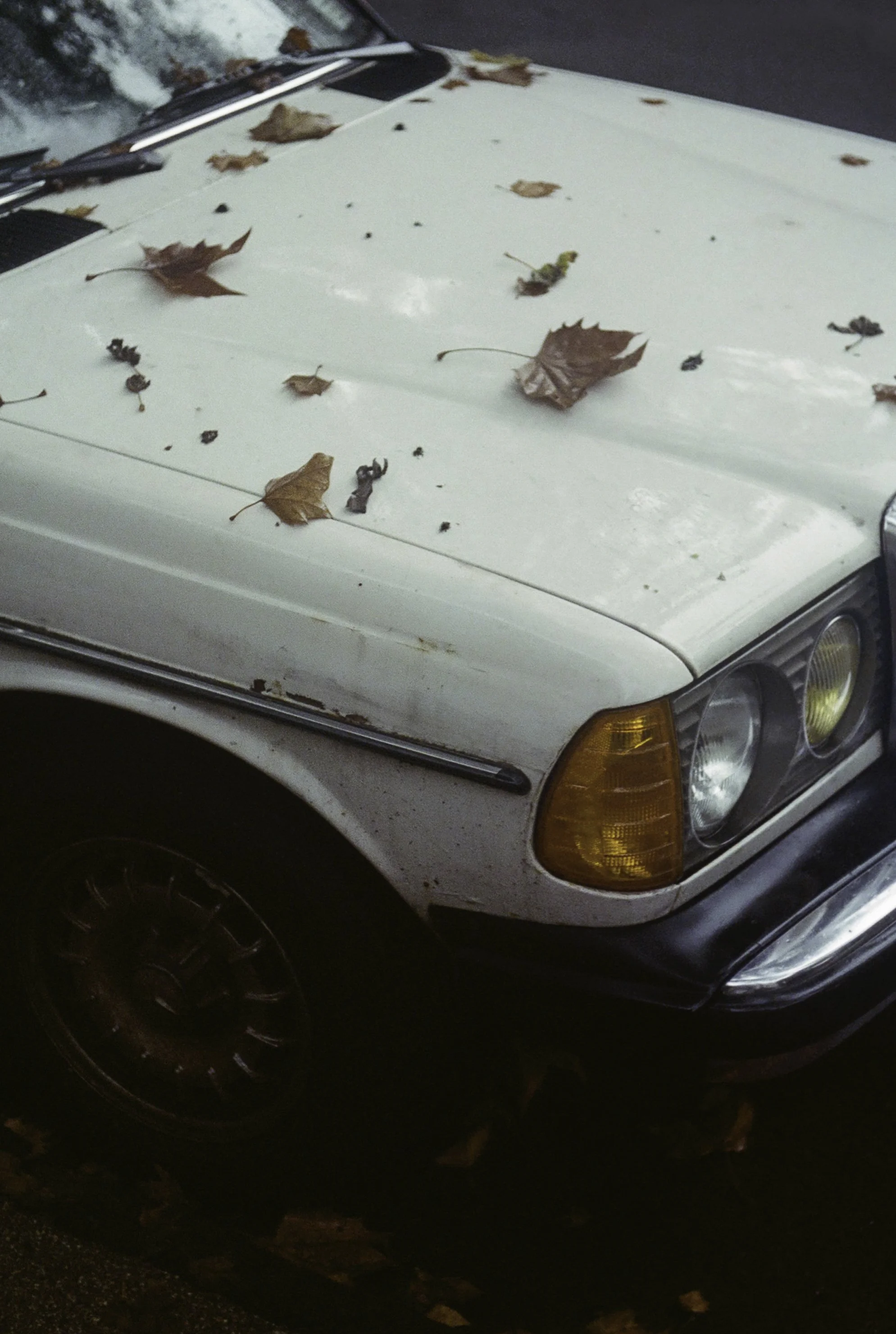 fallcar4website recropped.jpg