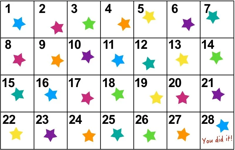 The 28 Day Challenge